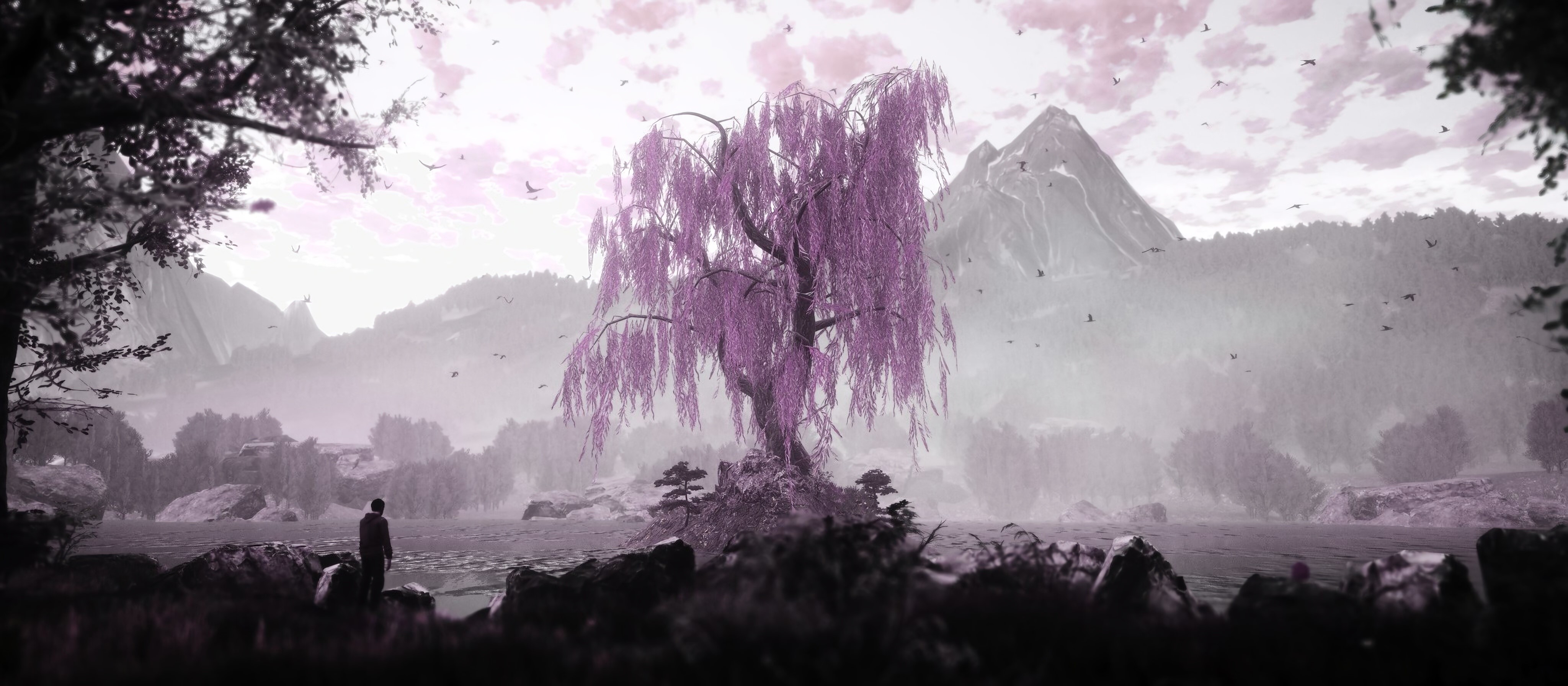 the dead tree of ranchiuna, 2019 games, games, hd, 4k, HD Wallpaper