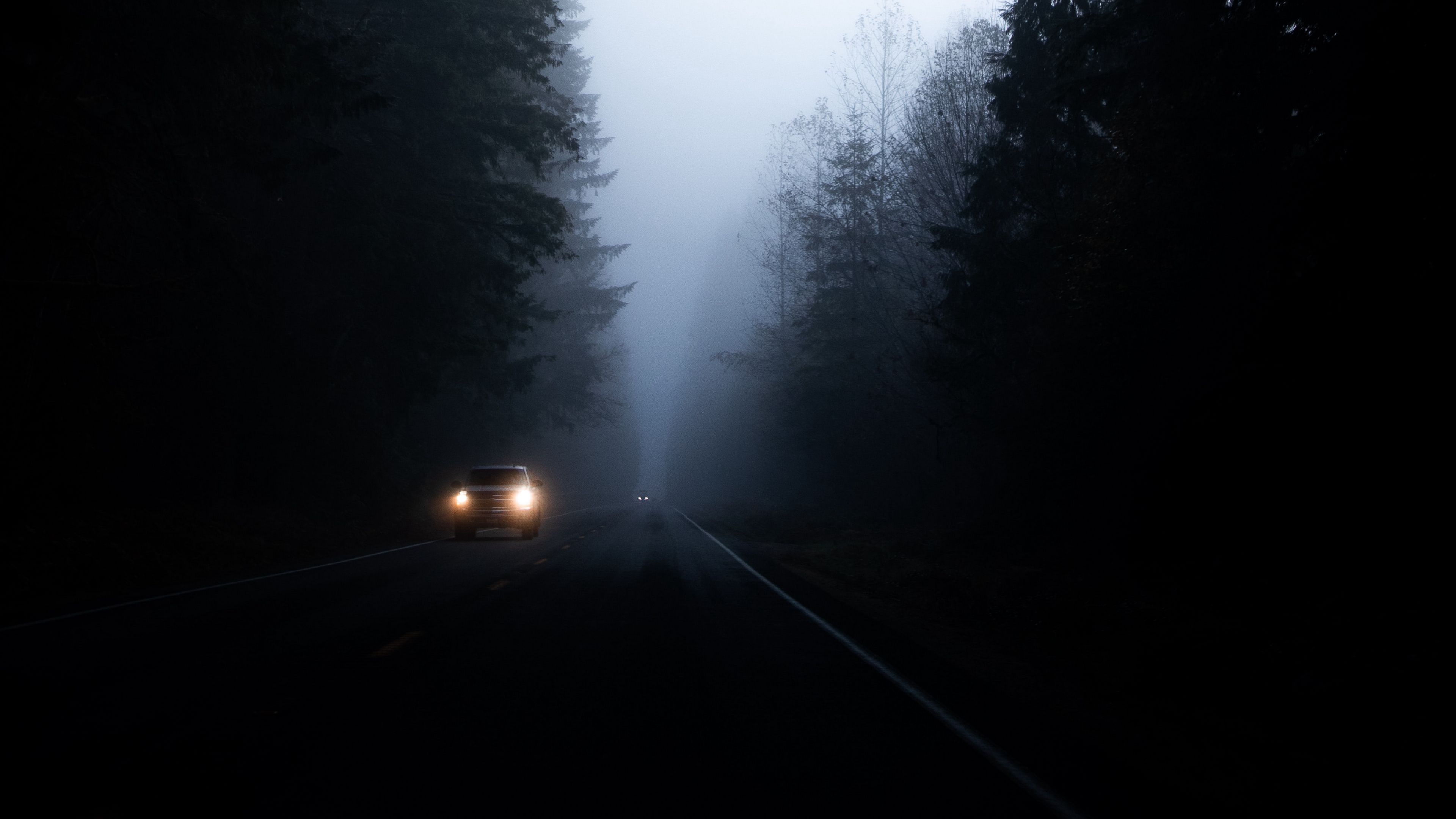 road, fog, dark, trees, car, 4k, HD Wallpaper