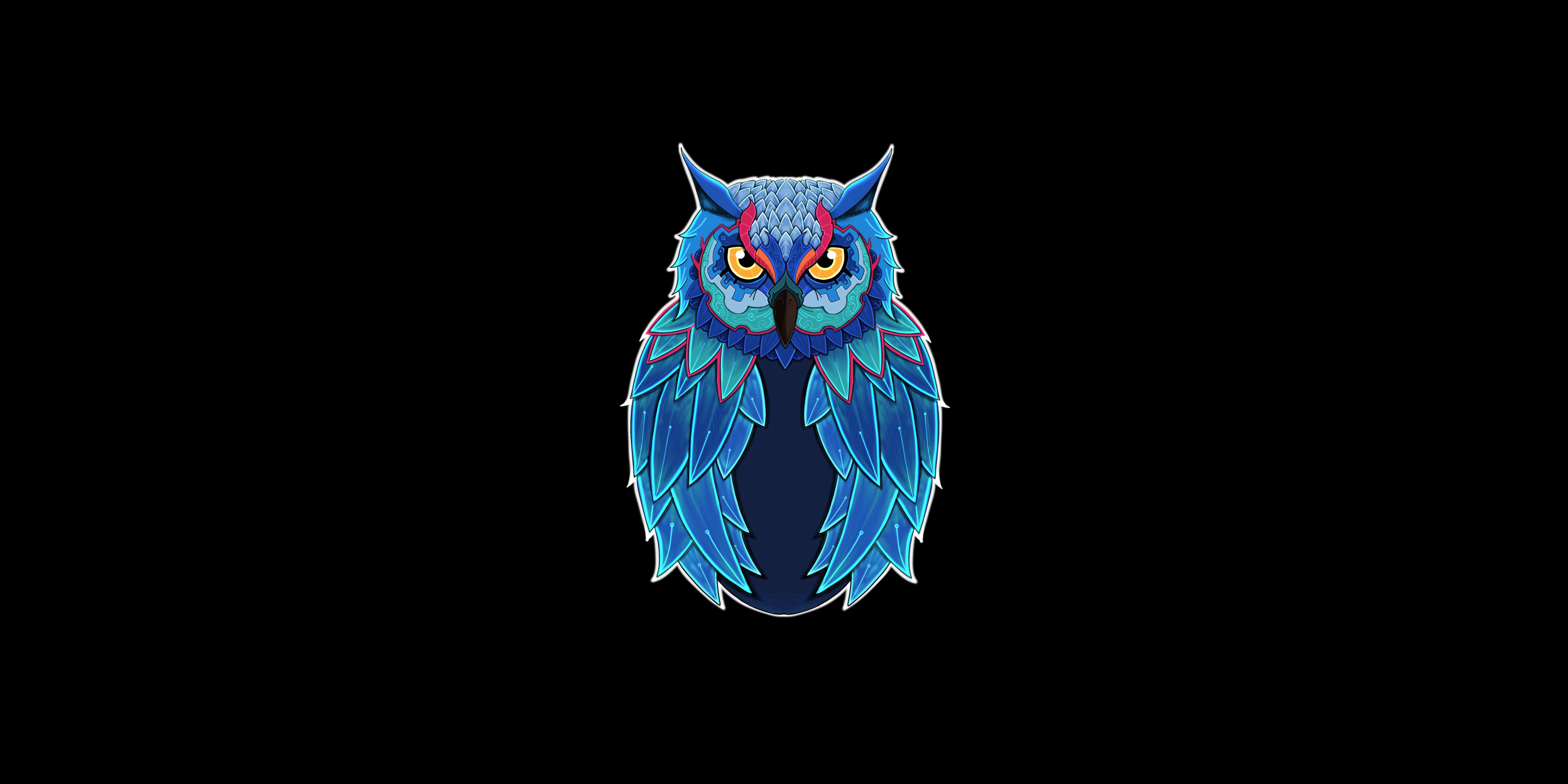 owl, animals, hd, 4k, 5k, dark, black, HD Wallpaper