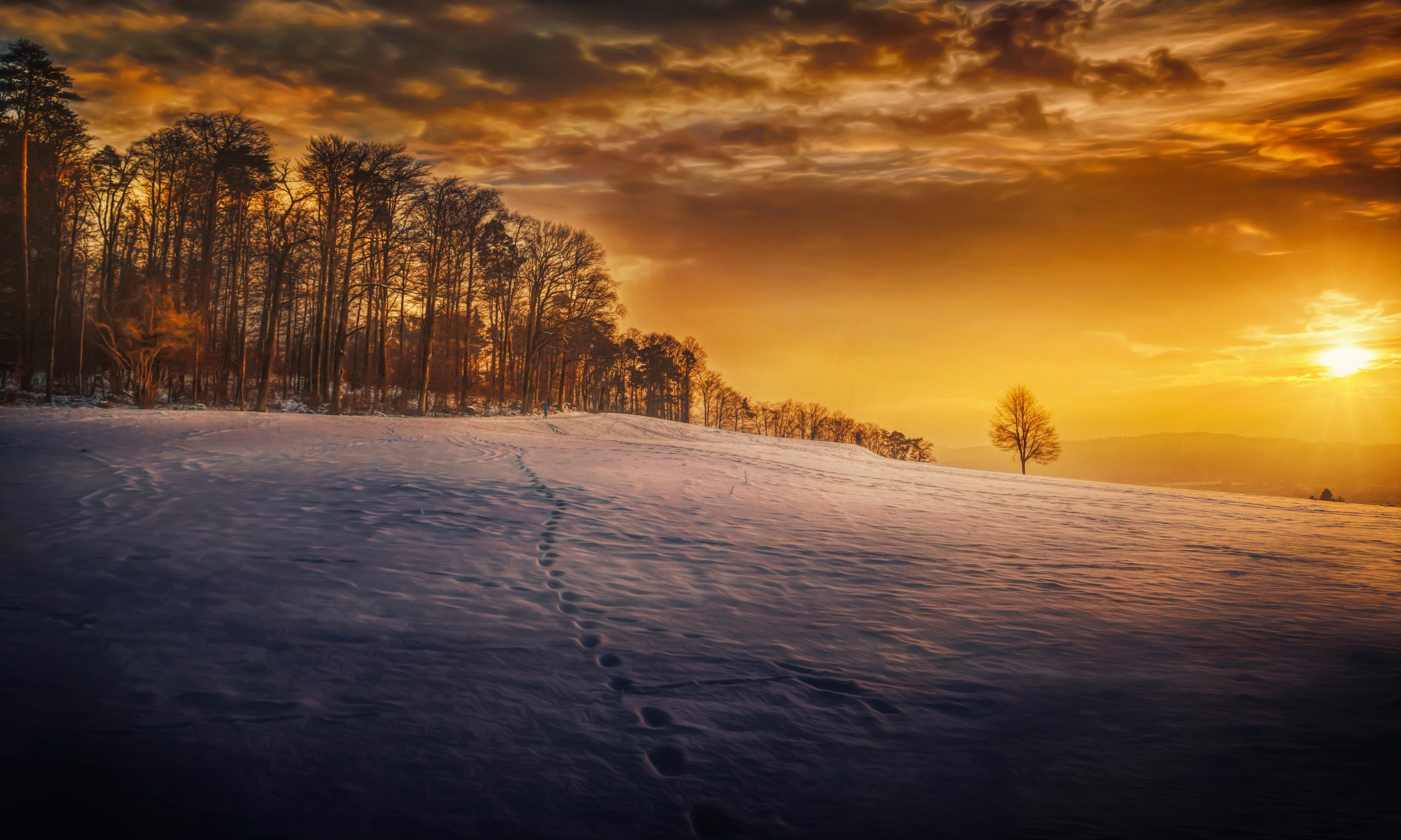 evening, snow, landscape, trees, hd, HD Wallpaper