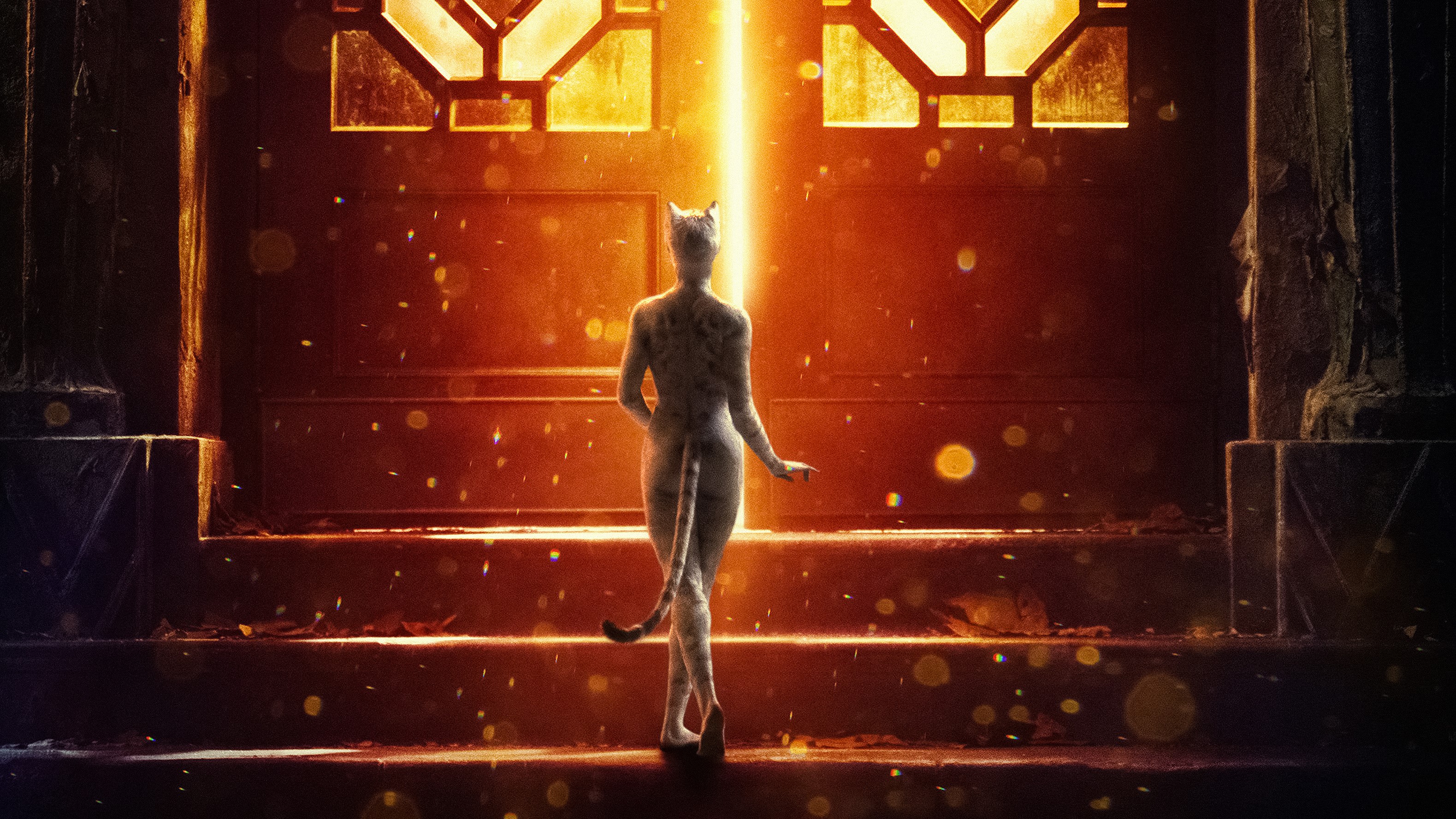 cats, hd, 4k, 2019 movies, movies, HD Wallpaper