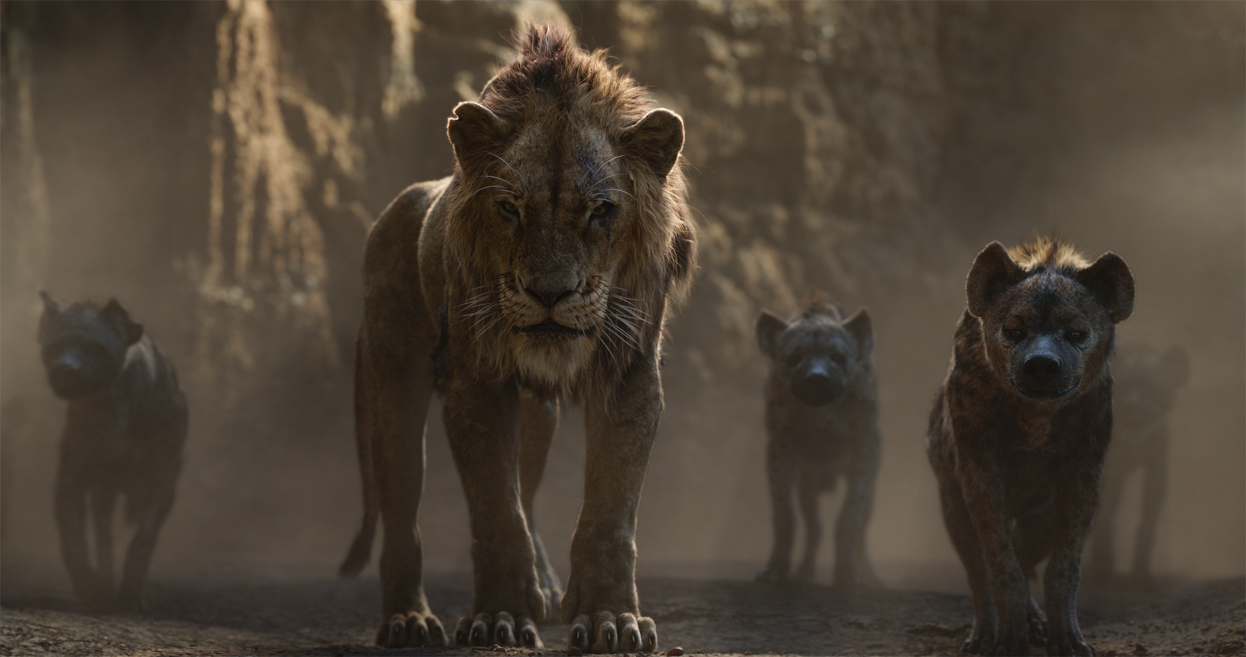 the lion king, lion, 2019 movies, movies, hd, 4k, disney, HD Wallpaper