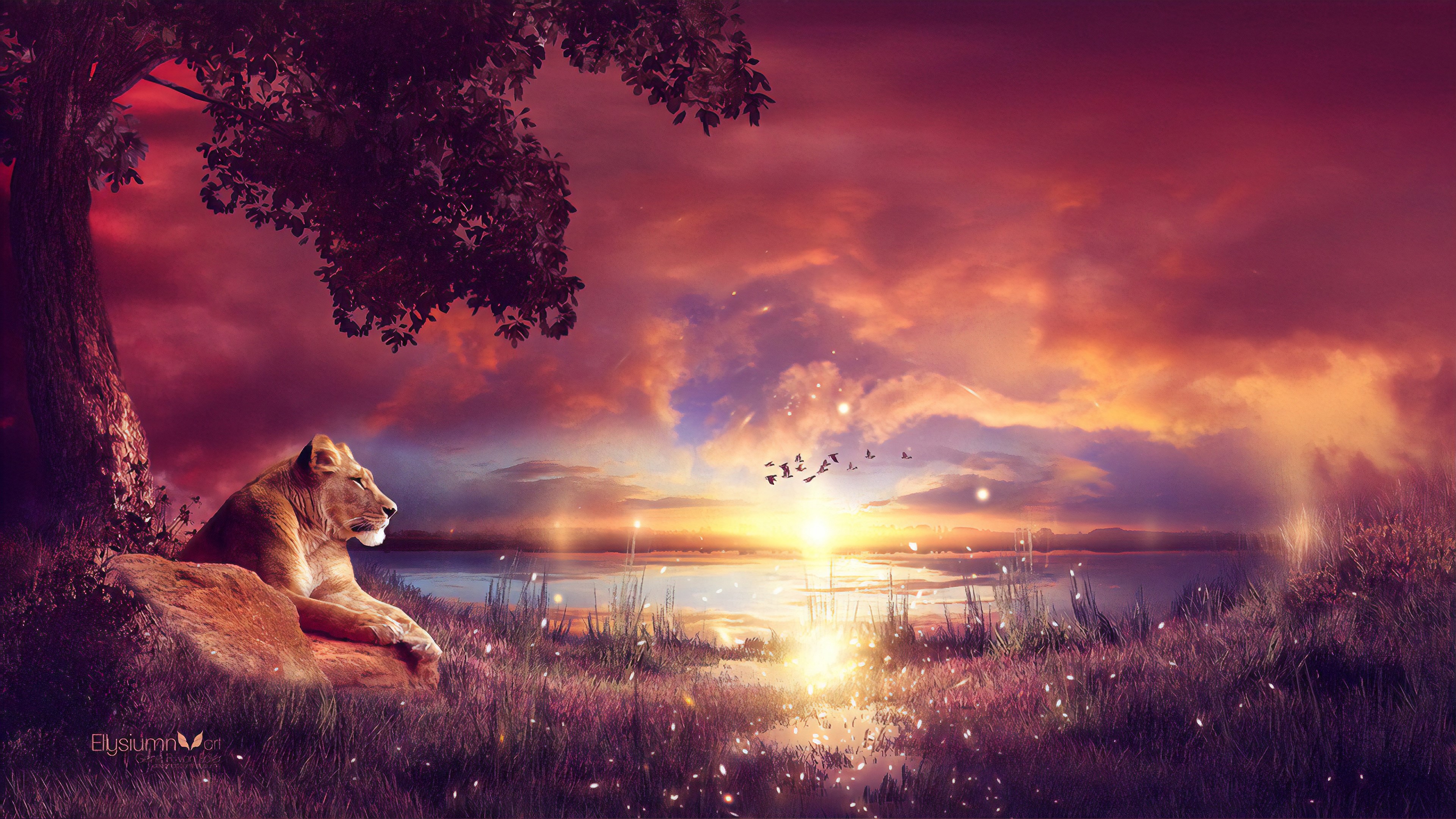 lion, animals, hd, 4k, deviantart, HD Wallpaper