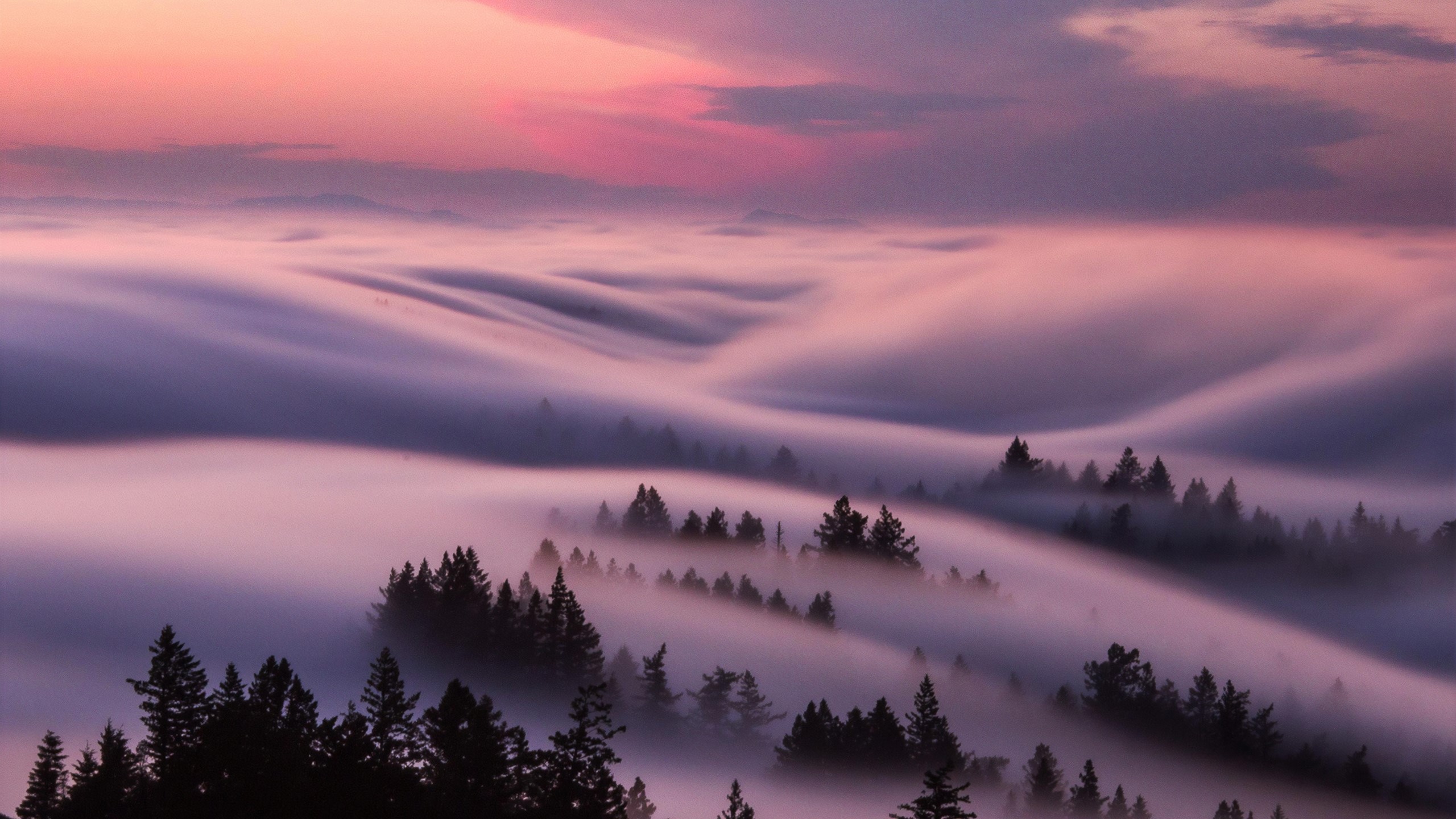 fog, clouds, nature, hd, HD Wallpaper