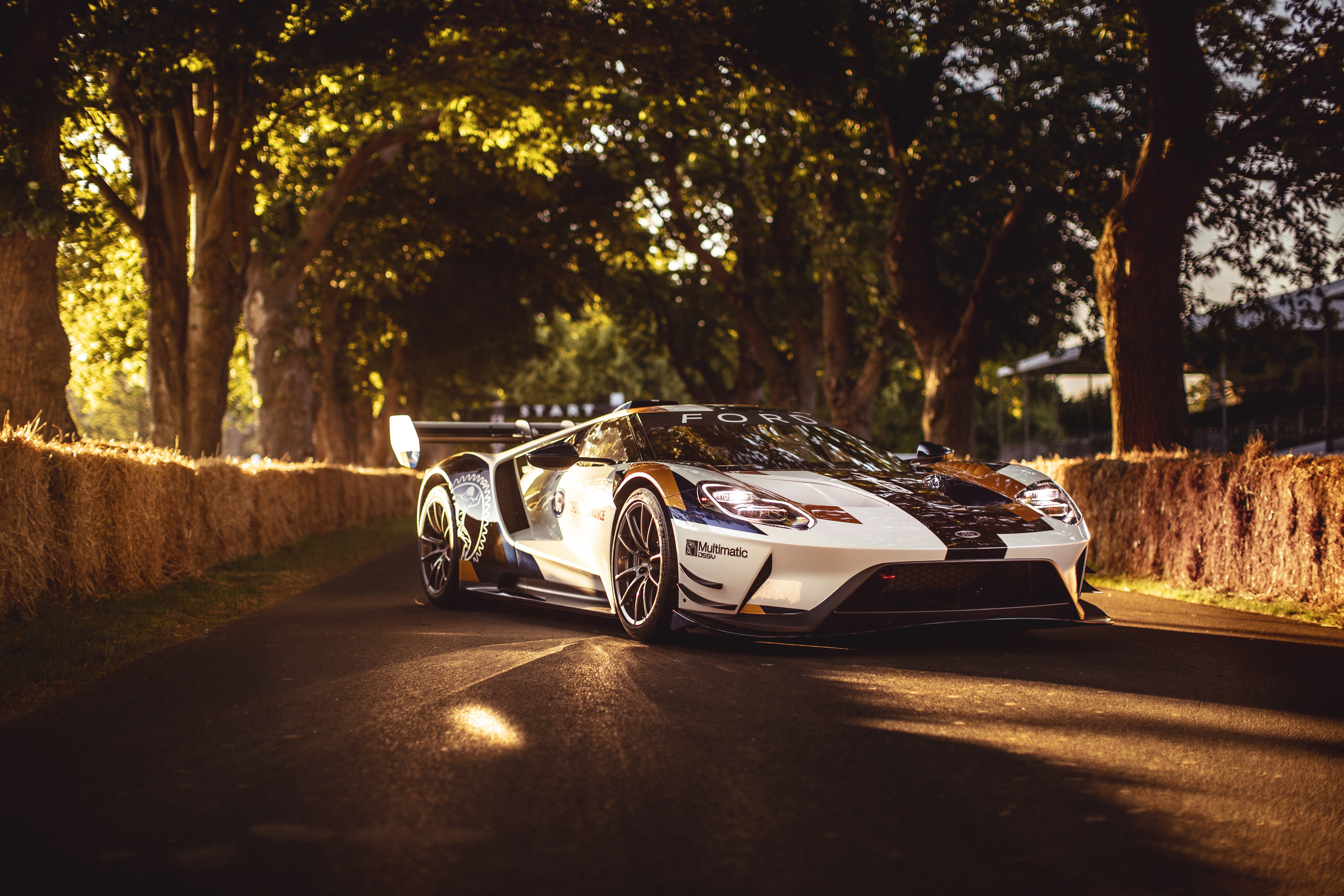 ford gt, ford, cars, hd, 4k, 5k, 8k, HD Wallpaper