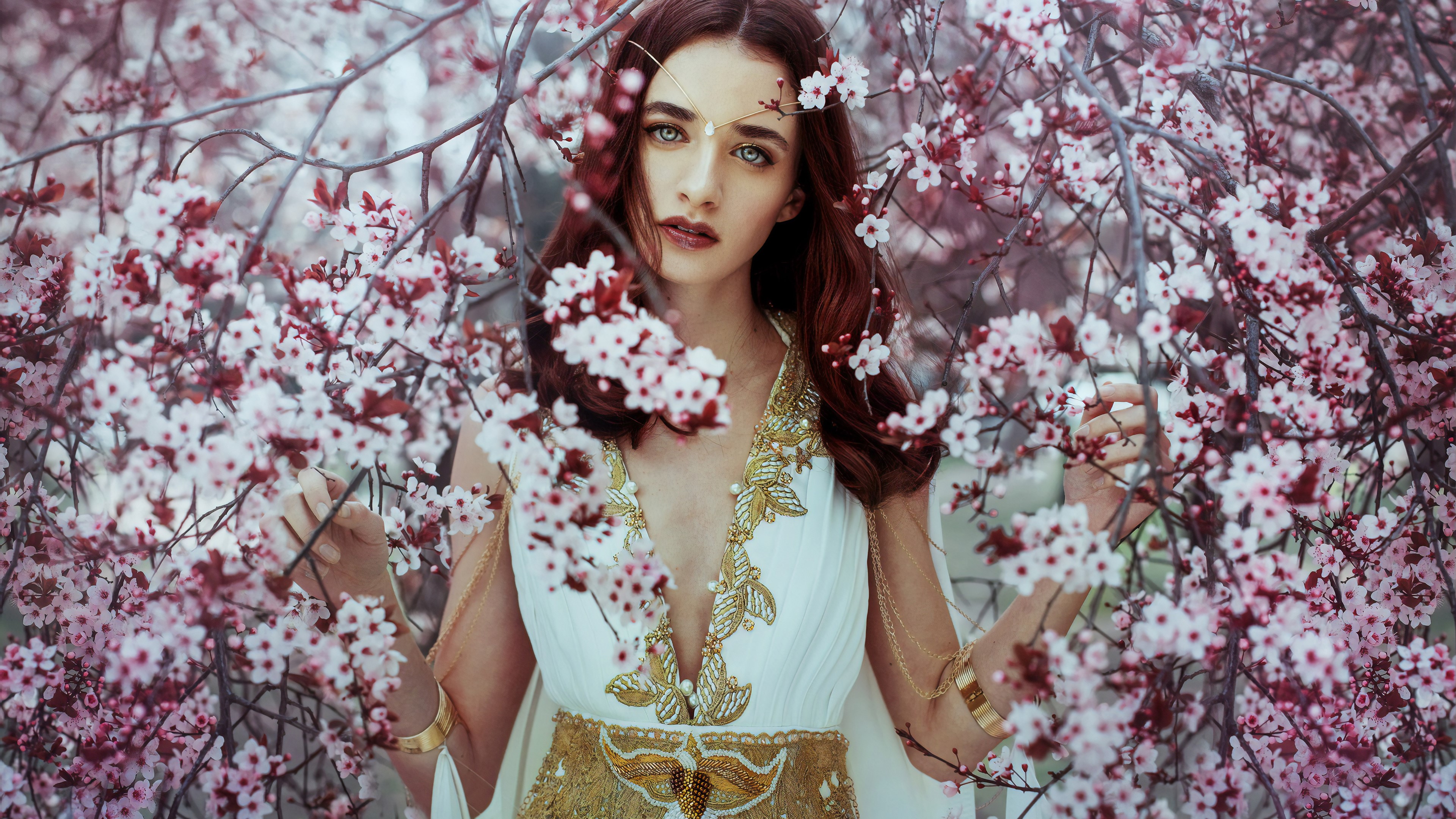 blossom, flowers, tree, hd, girls, HD Wallpaper