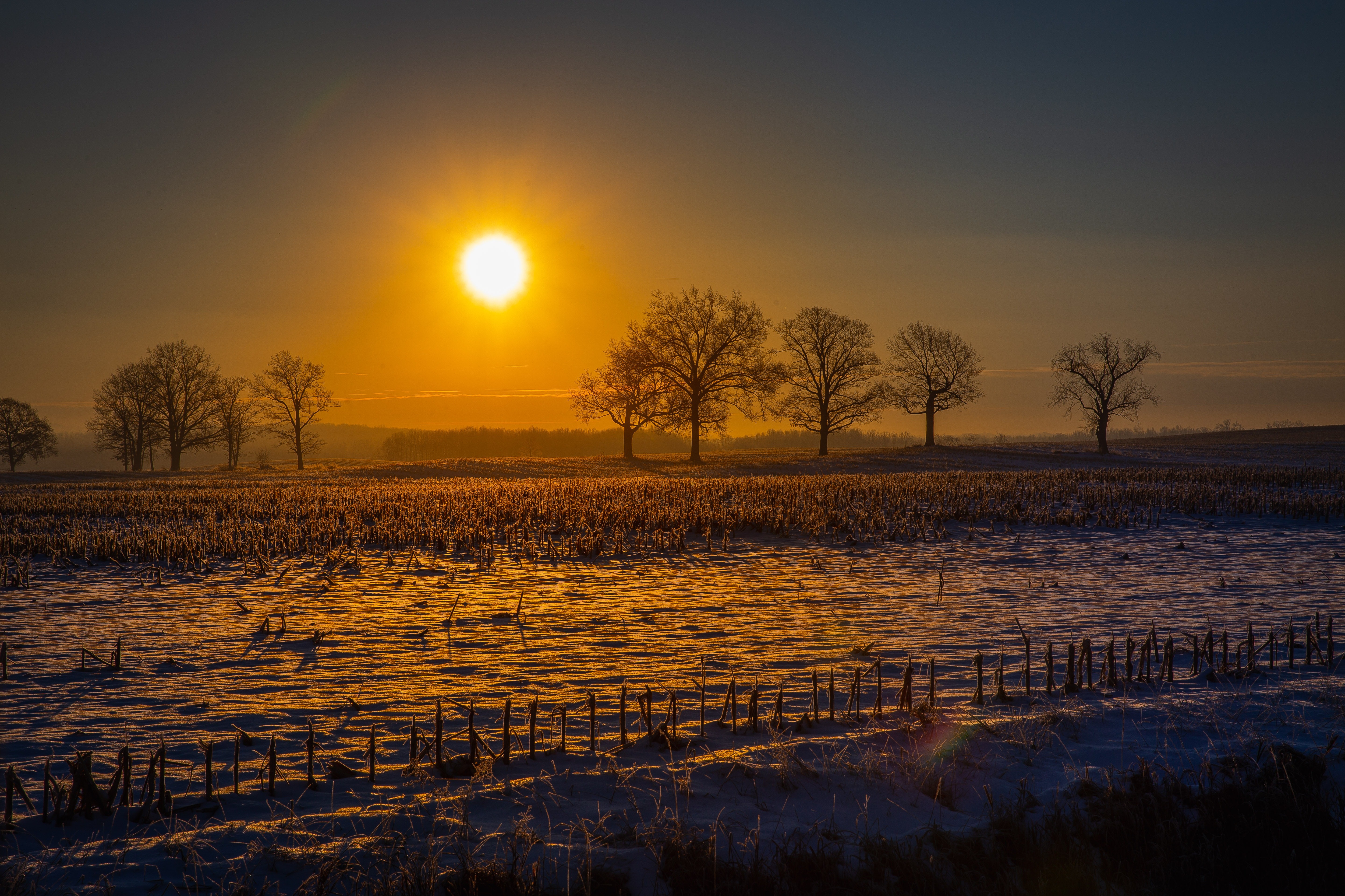 field, sunrise, sunset, hd, 4k, 5k, nature, HD Wallpaper