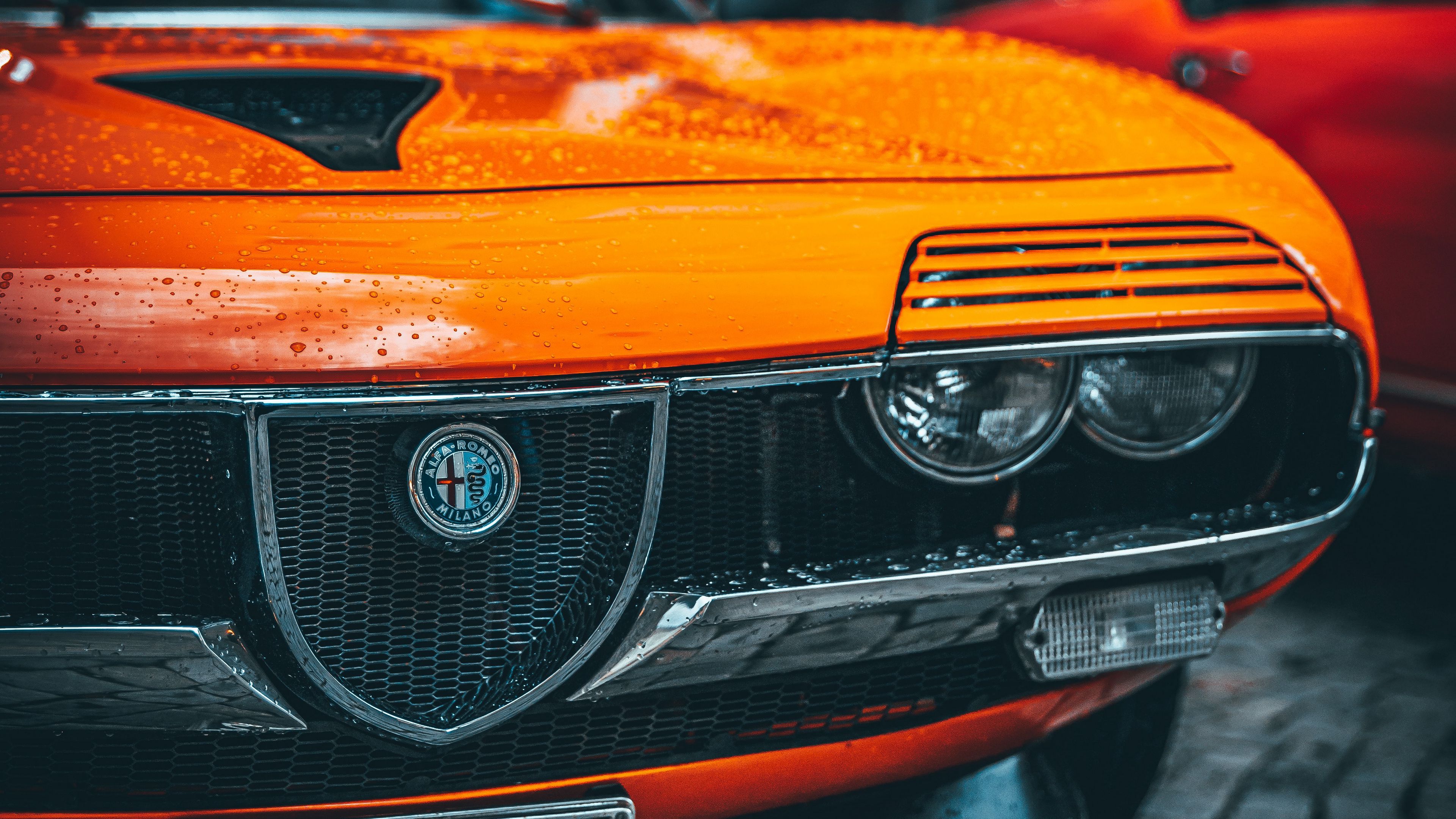 alfa romeo, car, orange, wet, front view, 4k, HD Wallpaper
