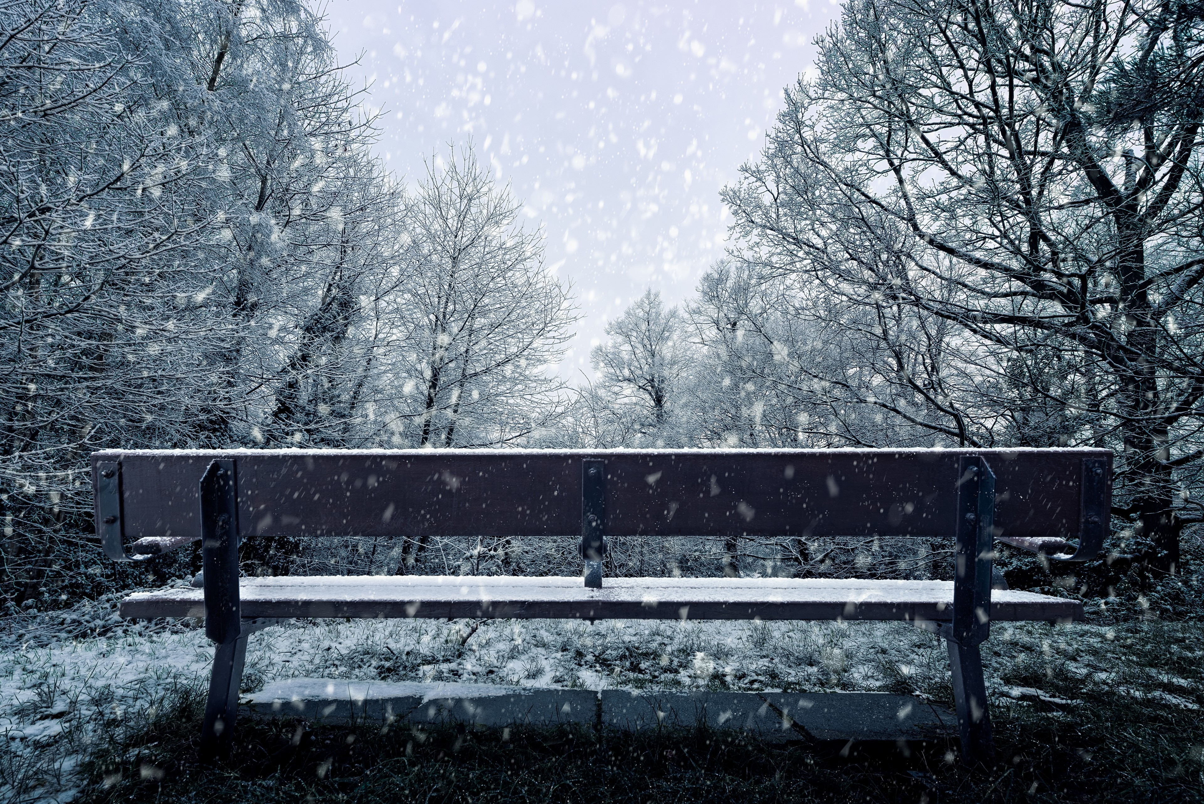 snowfall, nature, hd, 4k, HD Wallpaper