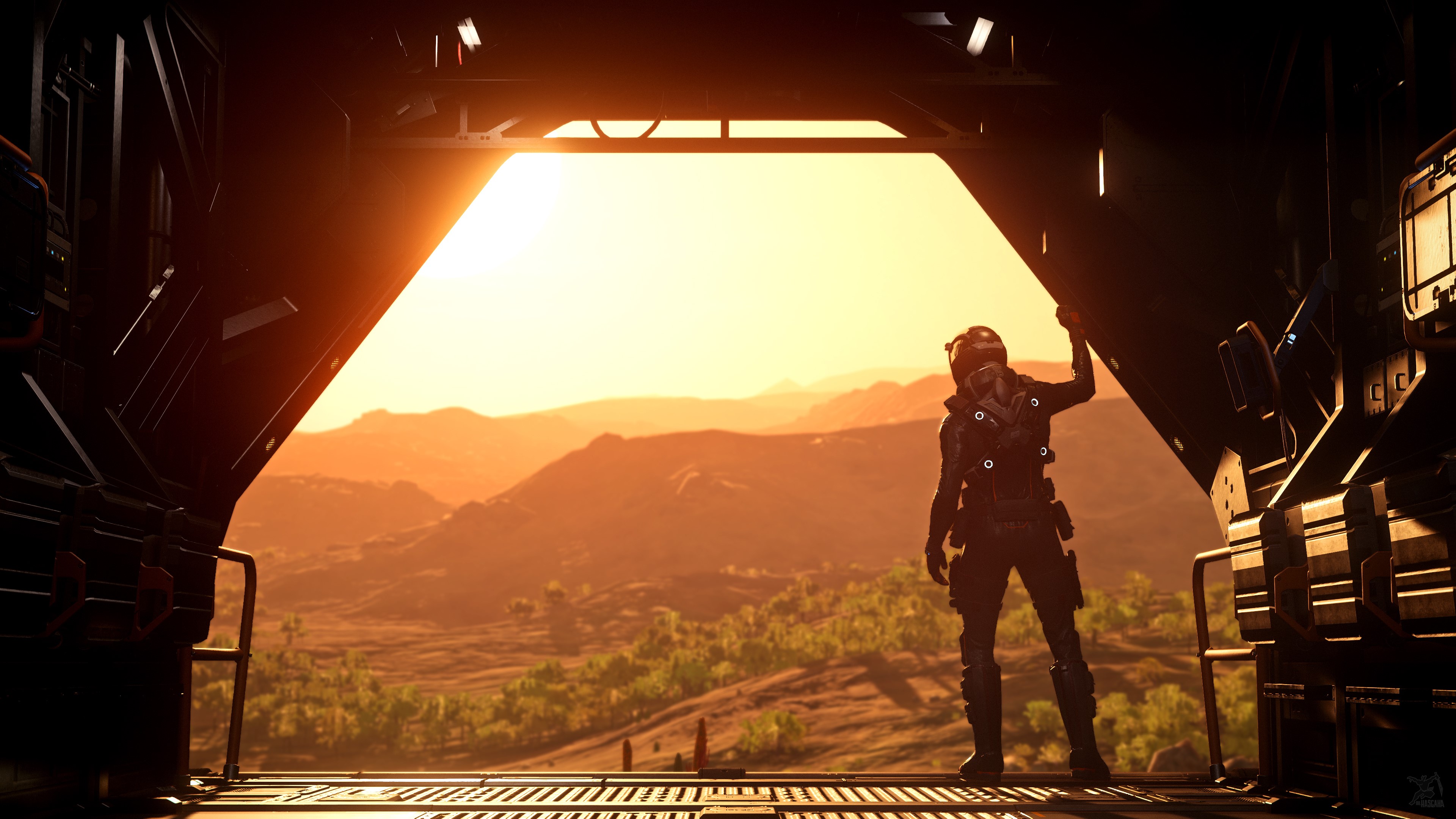 star citizen, games, hd, 4k, 2019 games, HD Wallpaper