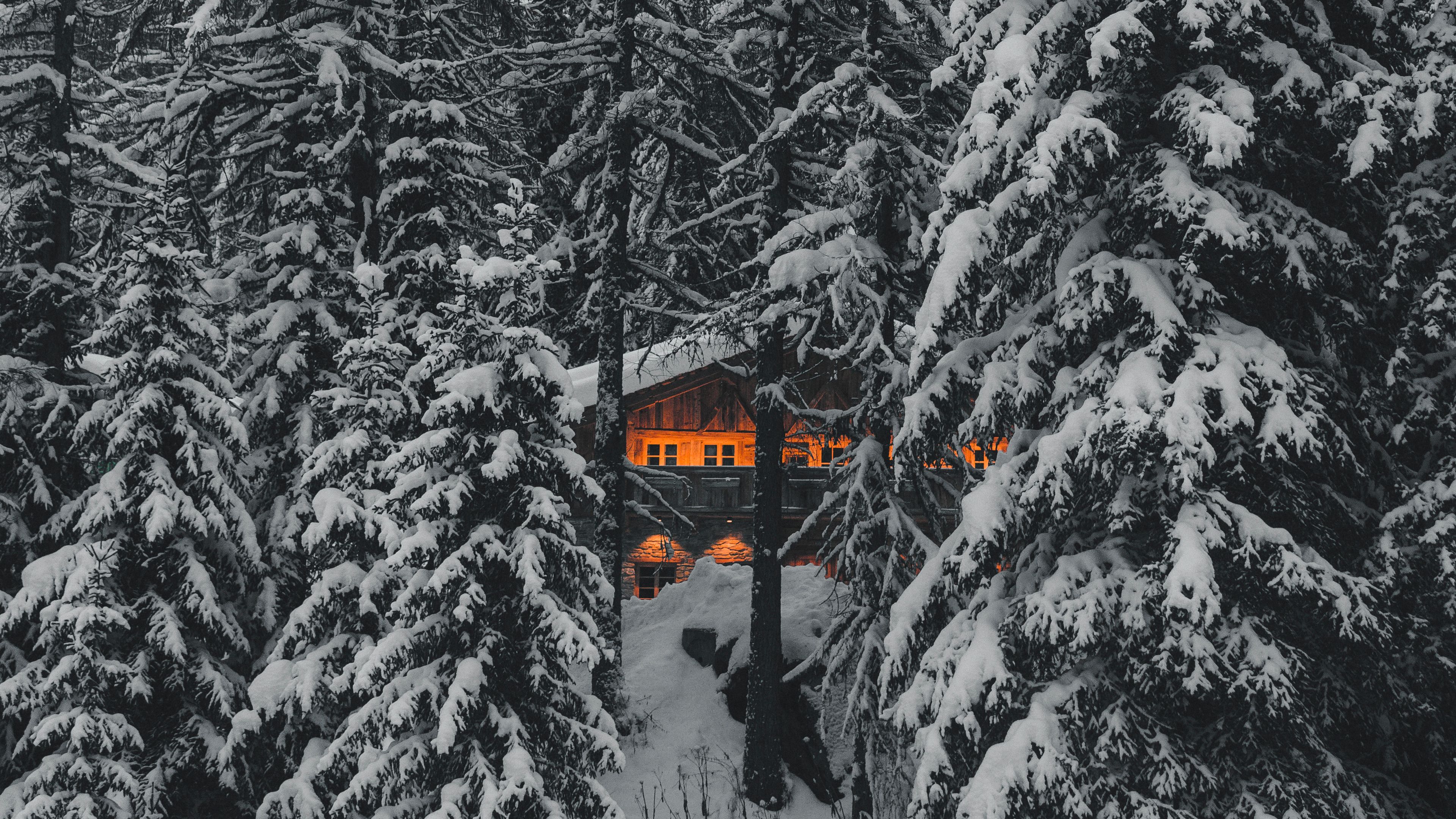 forest, house, trees, snow, nature, 4k, HD Wallpaper