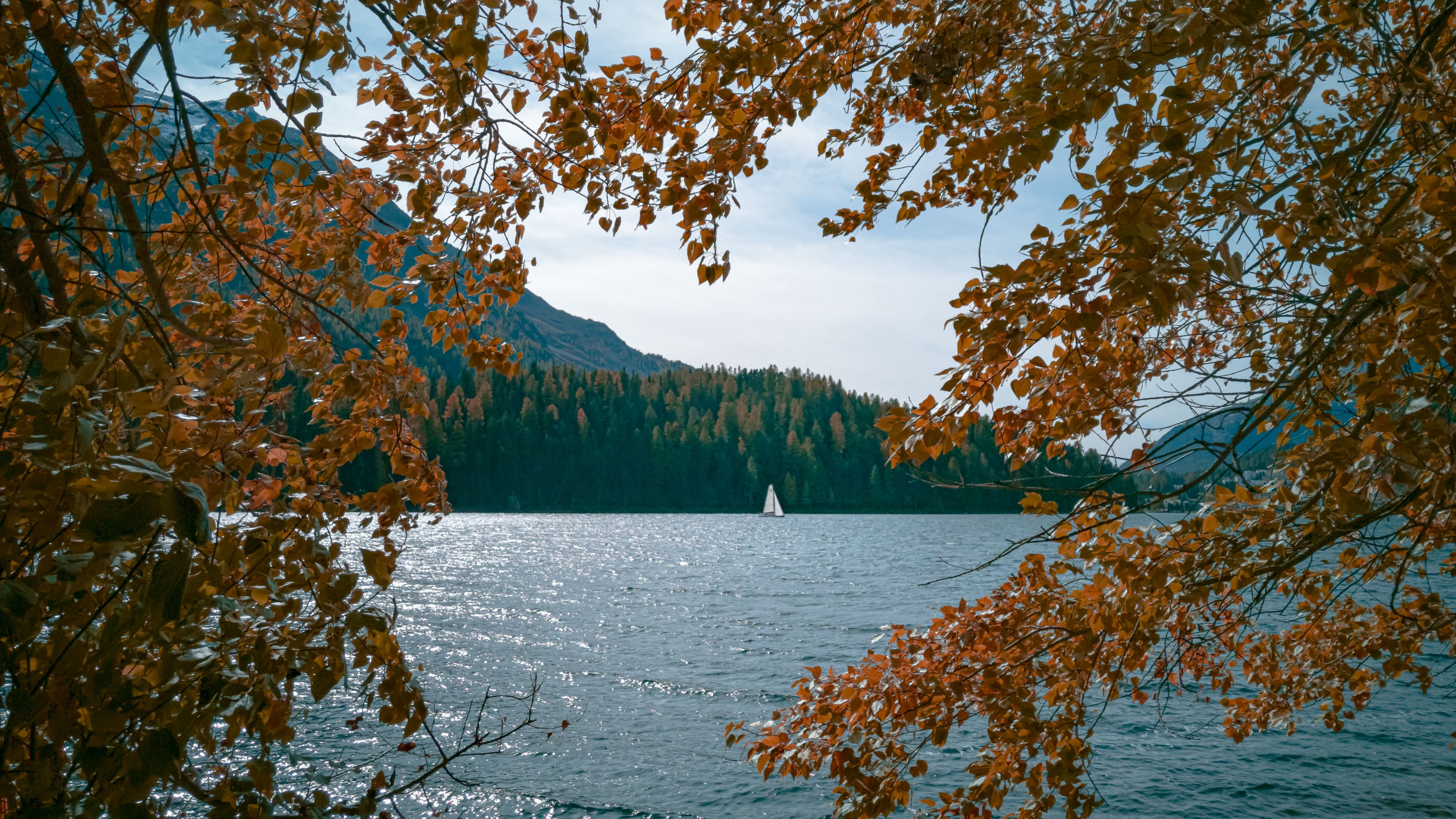 lake, boat, trees, branches, shore, 4k, HD Wallpaper