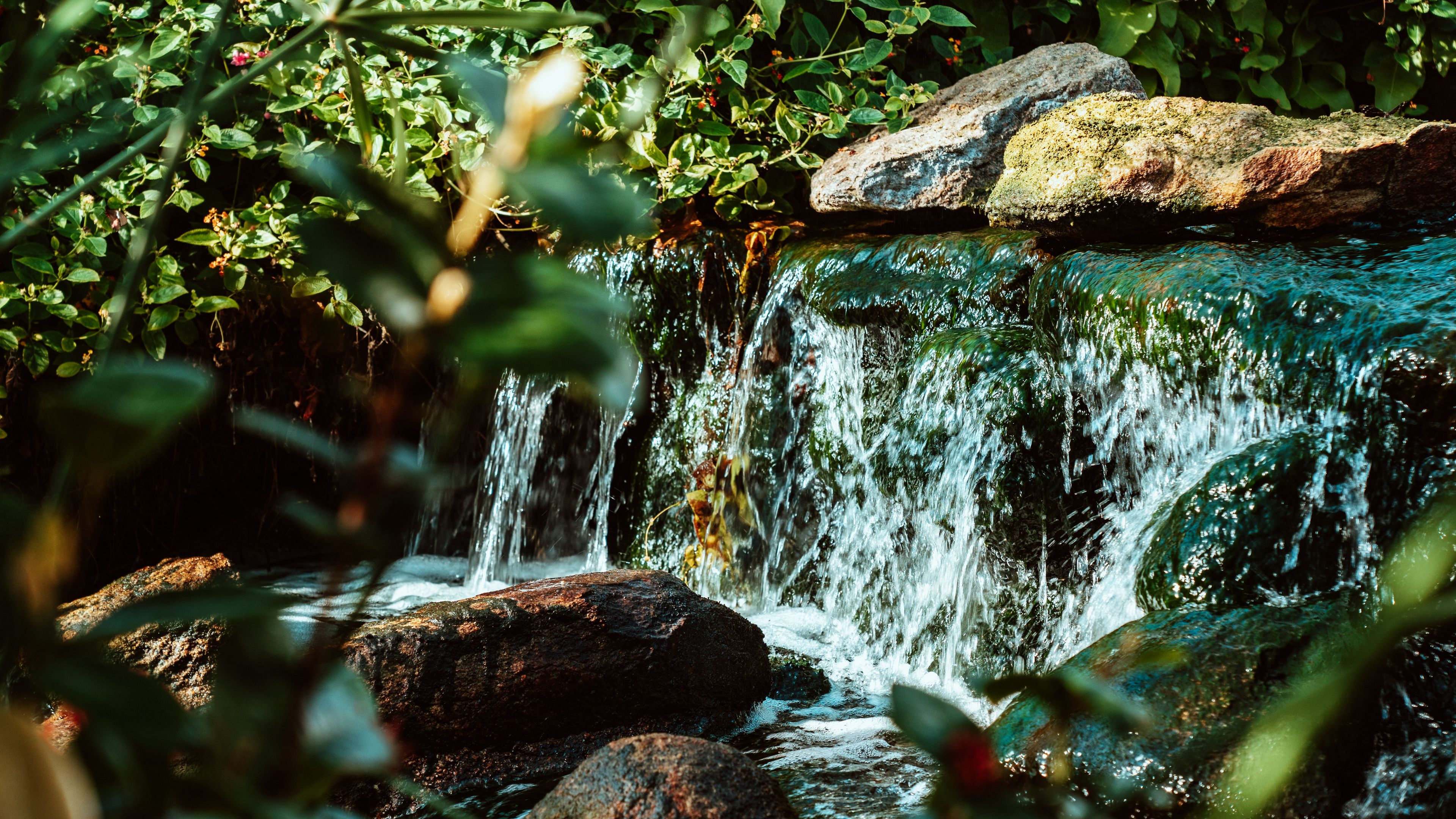waterfall, water, stones, river, bushes, 4k, HD Wallpaper