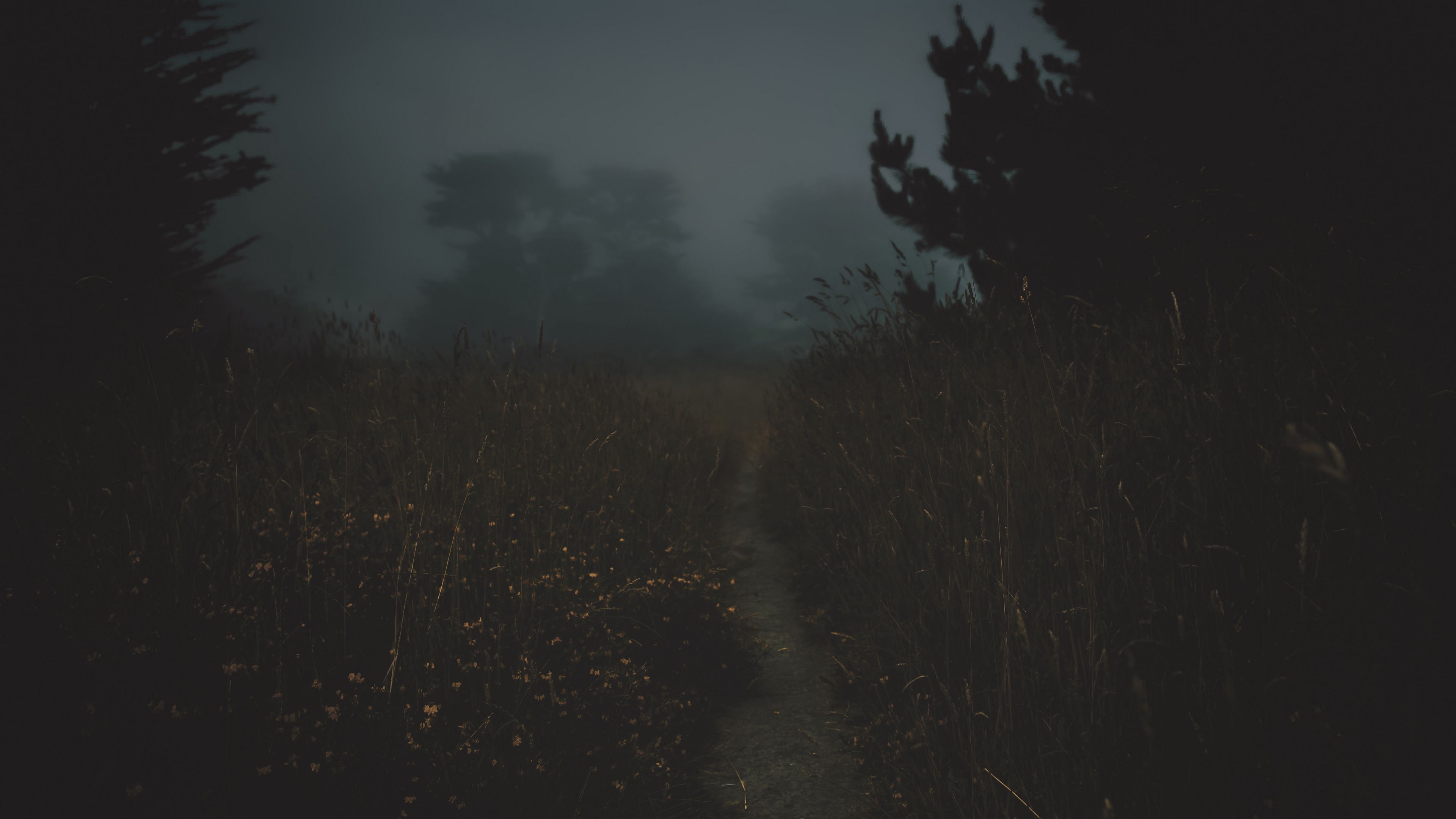 path, fog, dark, dusk, nature, 4k, HD Wallpaper
