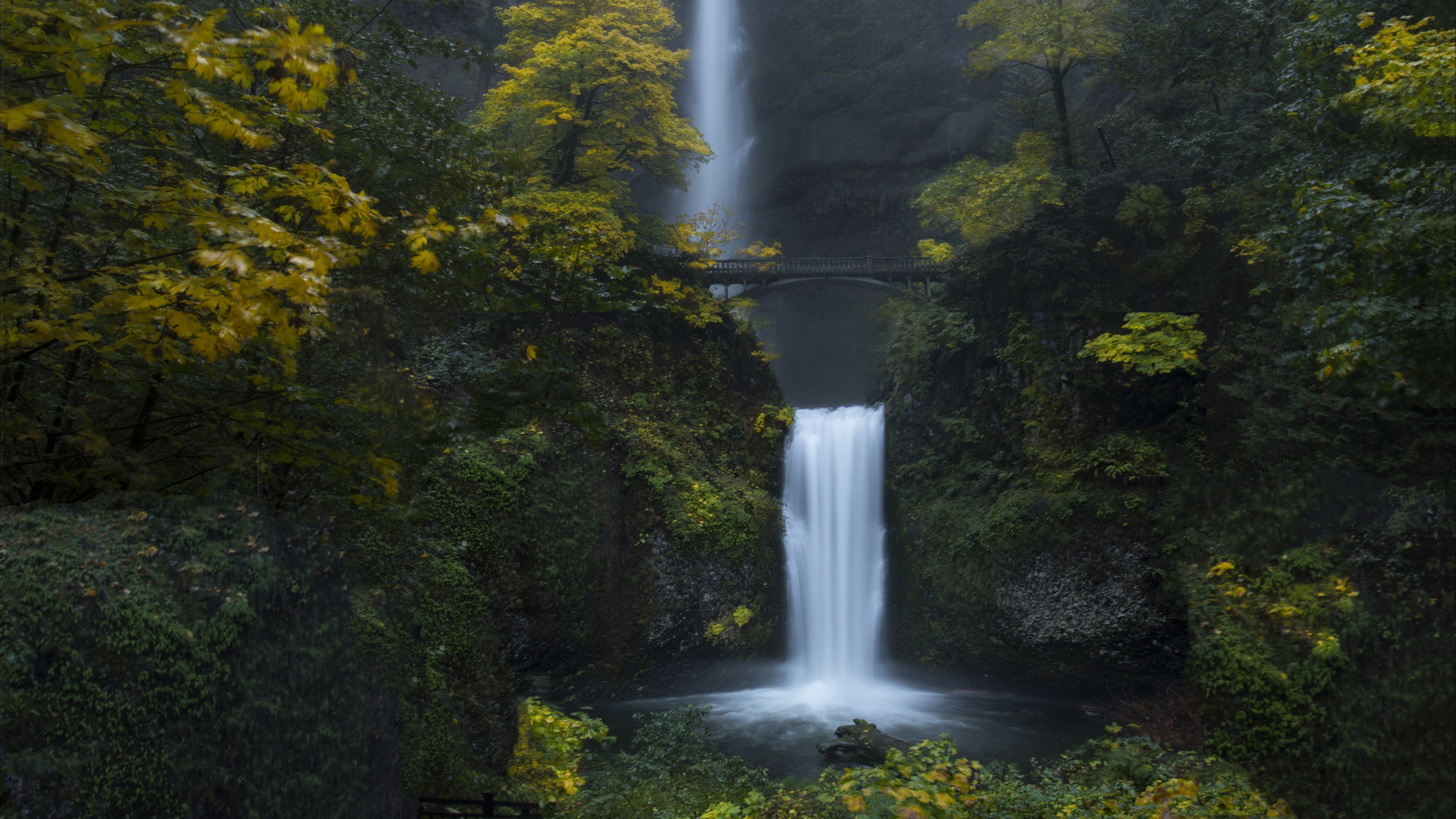 waterfall, rock, water, bridge, trees, 4k, HD Wallpaper