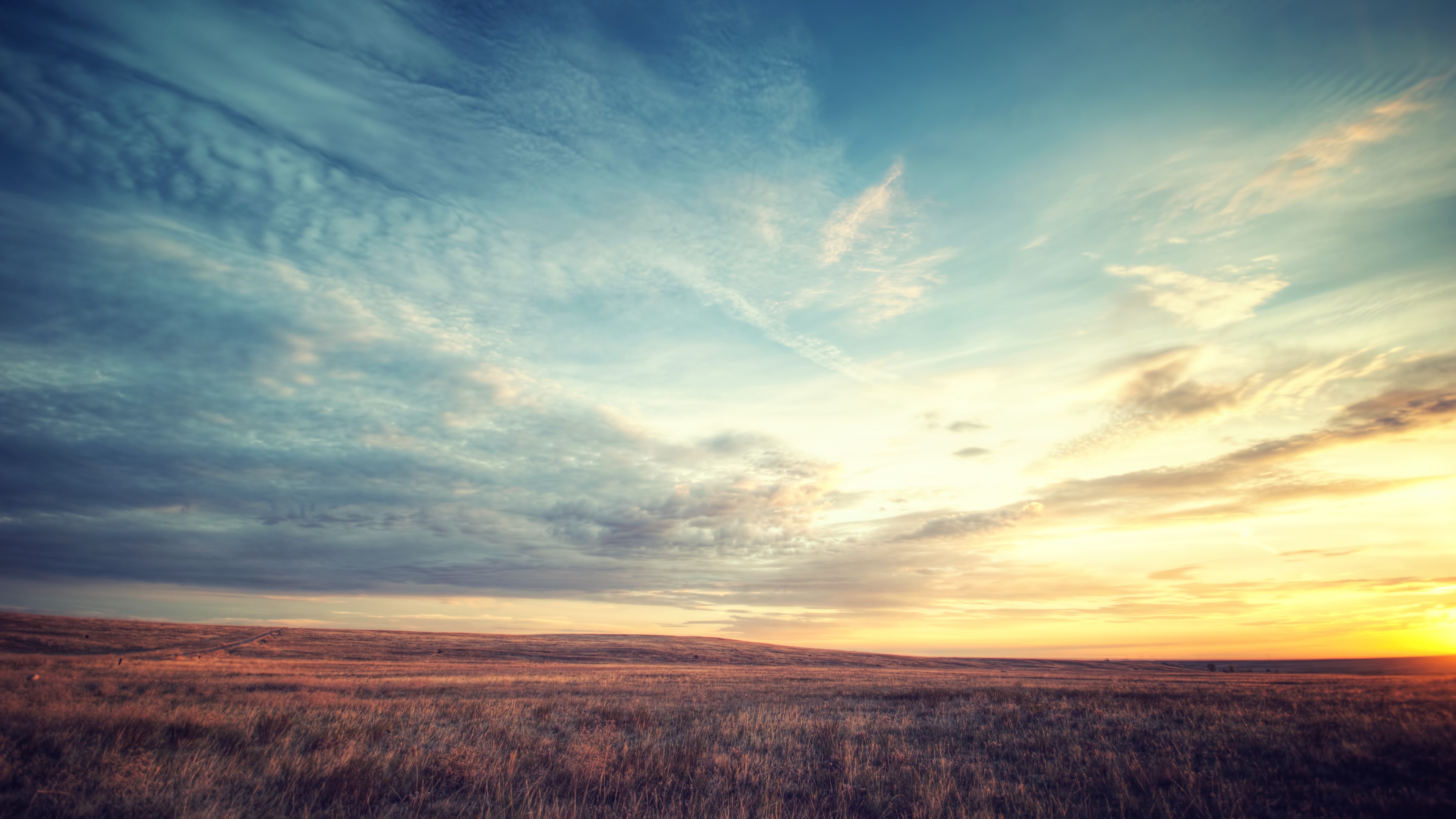 landscape, nature, fields, sky, hd, 4k, HD Wallpaper