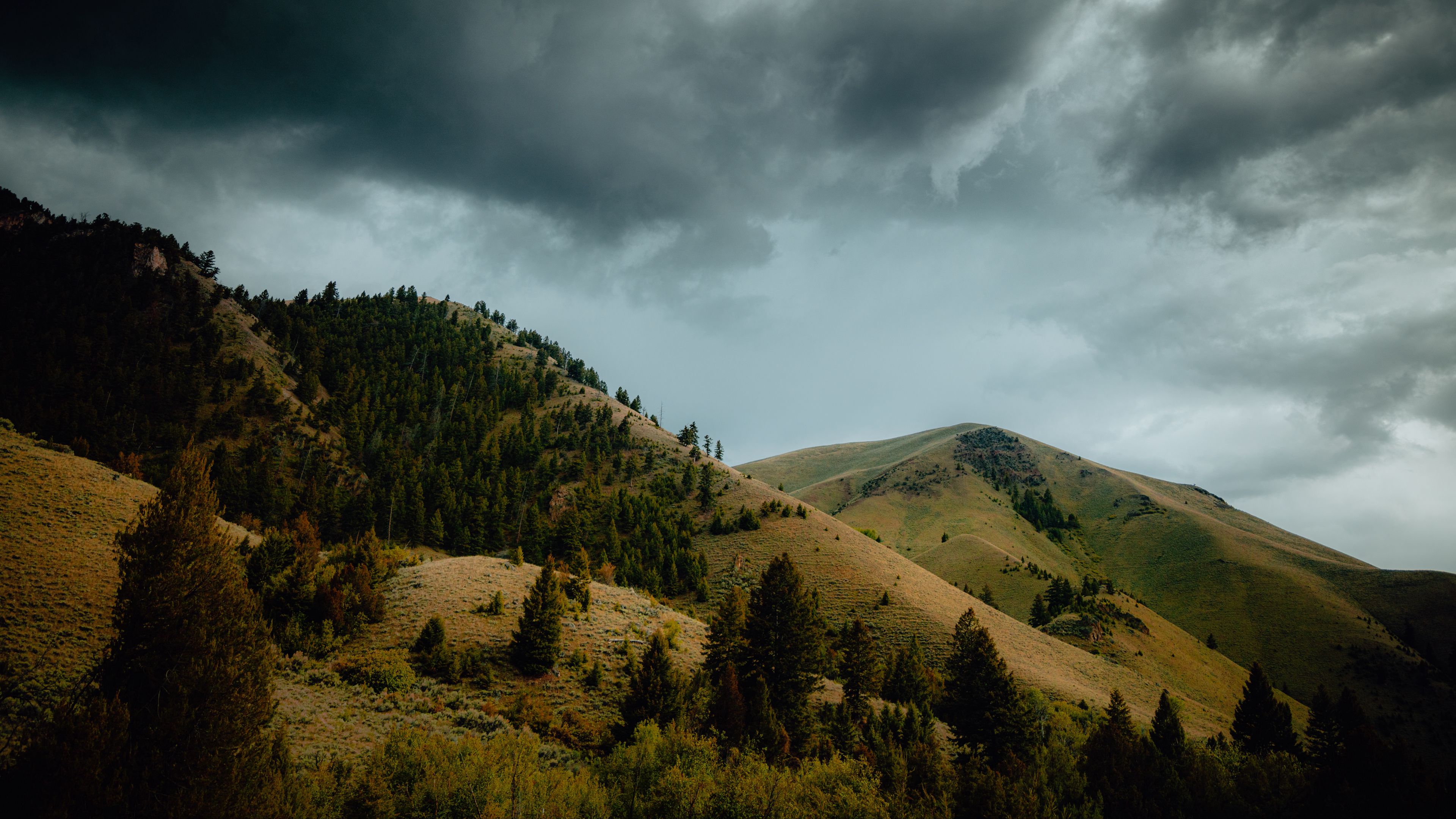 mountains, hills, trees, slopes, landscape, 4k, HD Wallpaper
