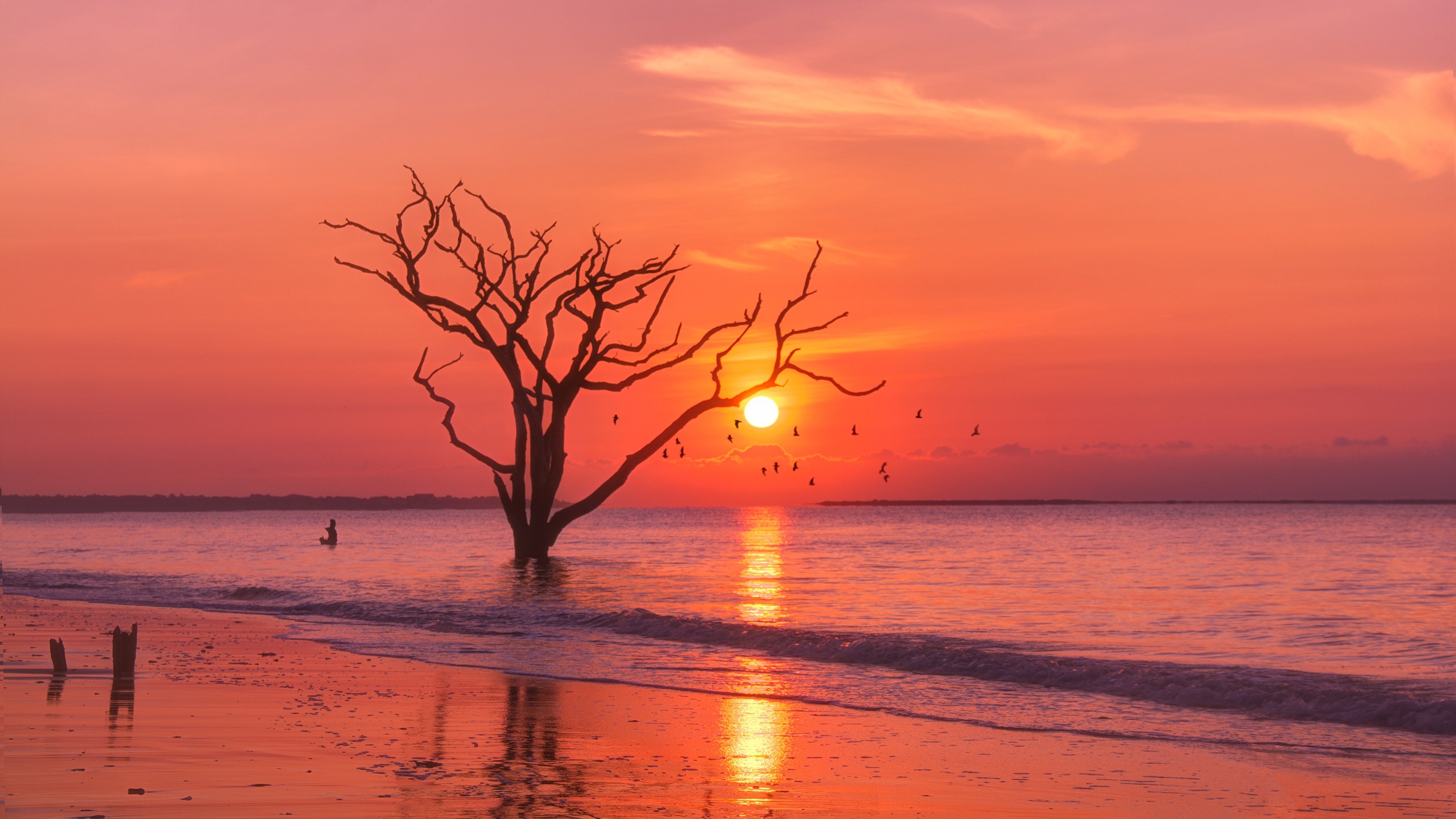 sunset, sunrise, morning, evening, hd, 4k, nature, HD Wallpaper