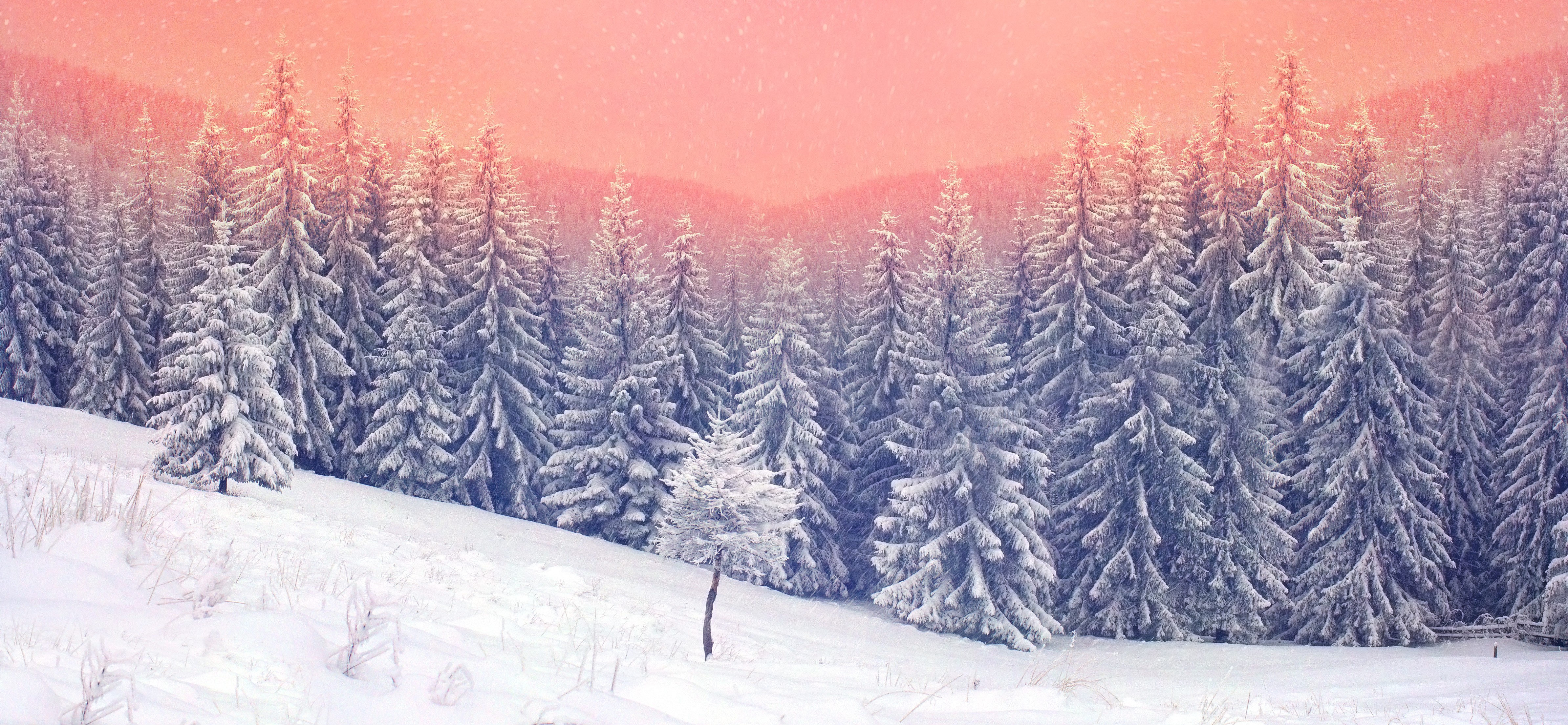 landscape, snow, trees, nature, hd, 4k, 5k, HD Wallpaper