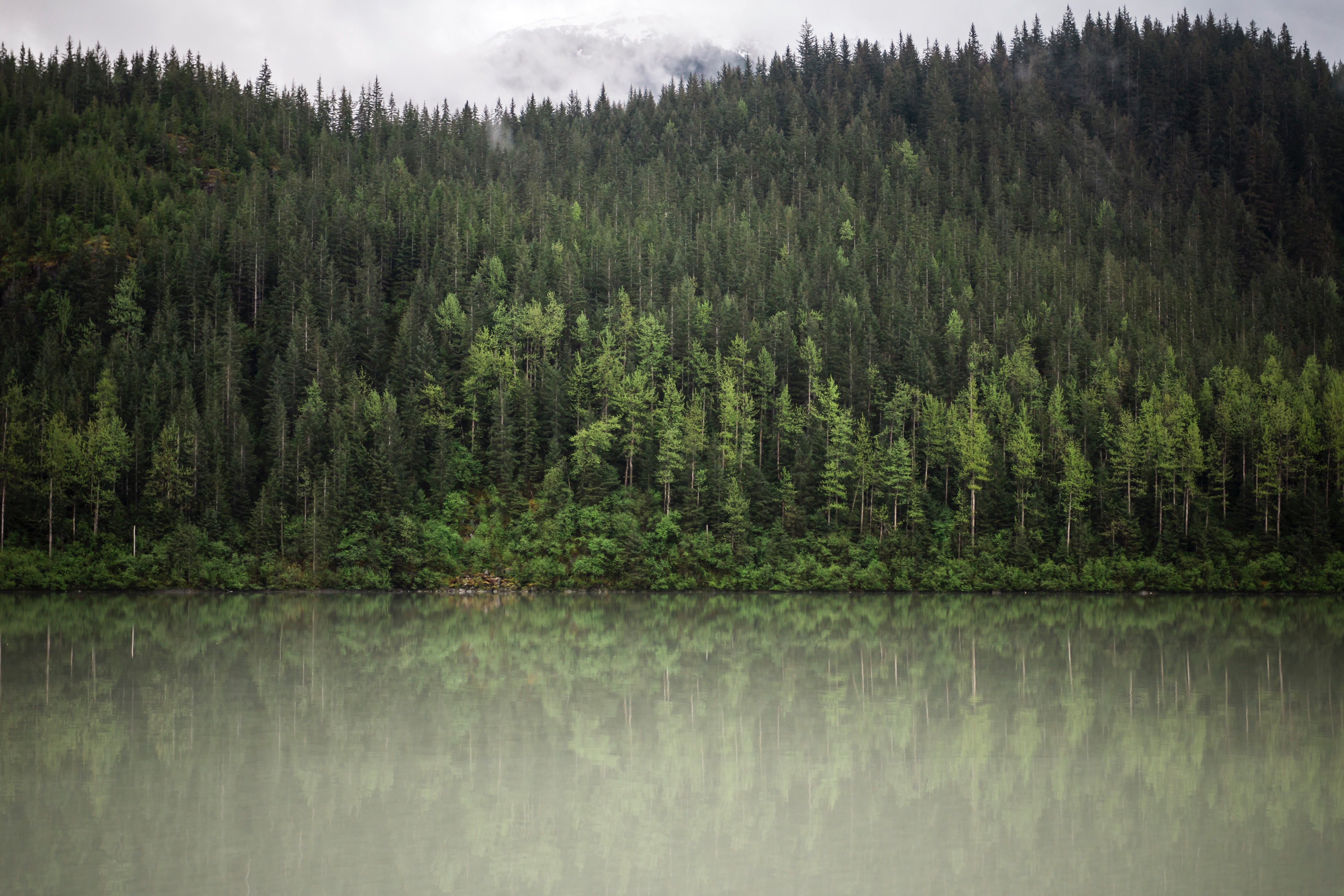trees, water, nature, clouds, hd, 4k, 5k, HD Wallpaper