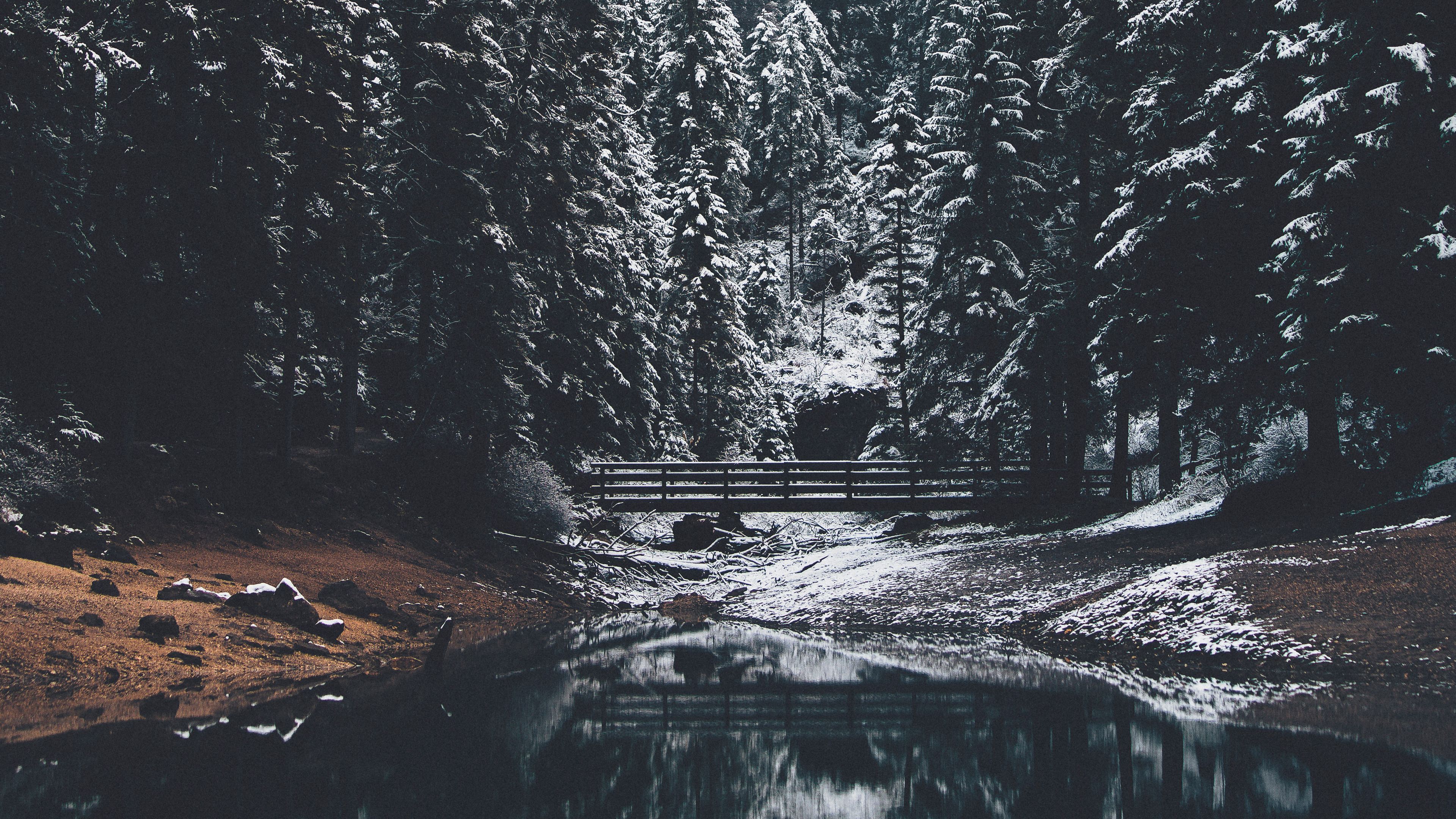 forest, river, bridge, pines, snow, landscape, 4k, HD Wallpaper
