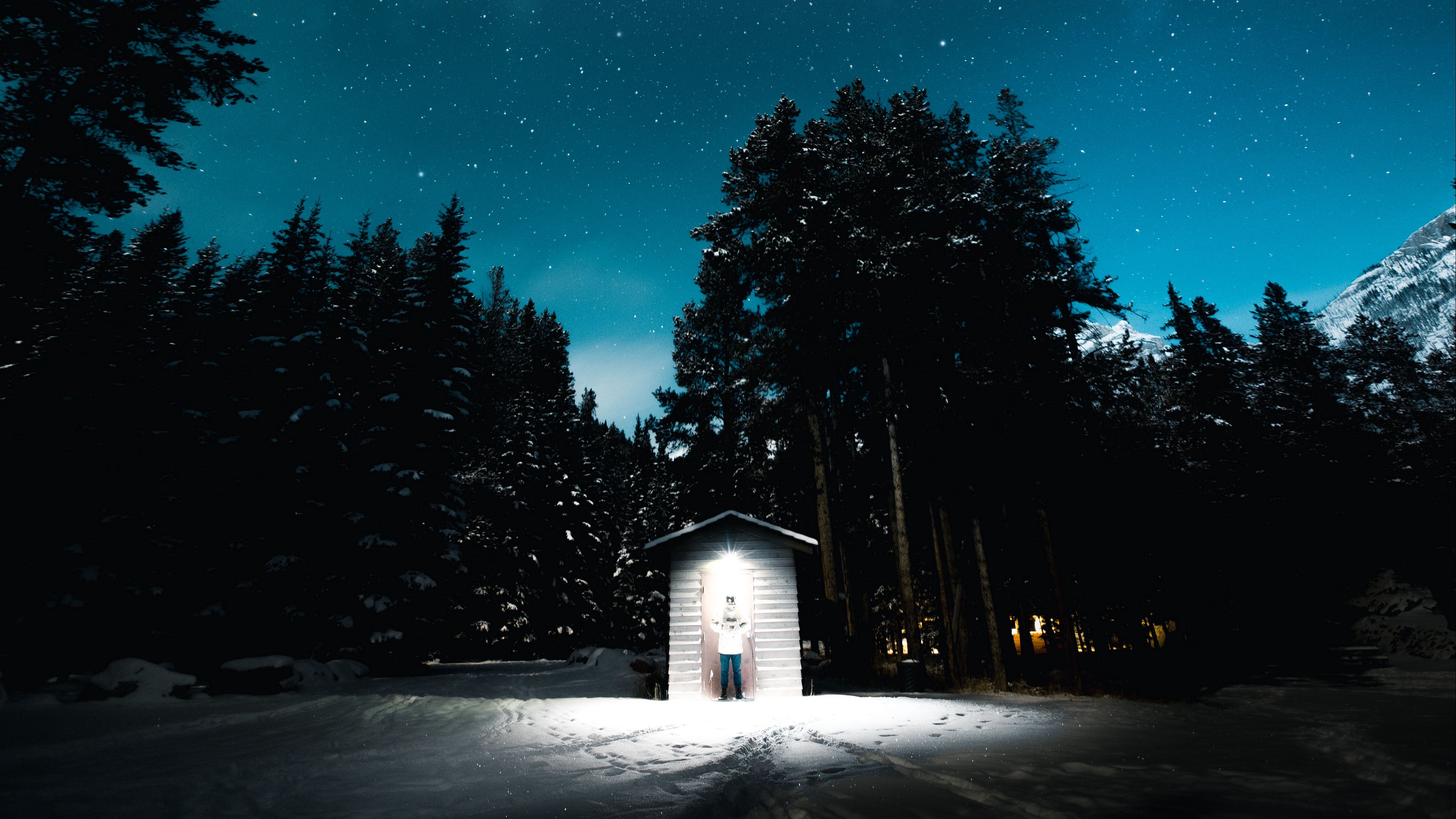 forest, night, building, silhouette, flash, 4k, HD Wallpaper
