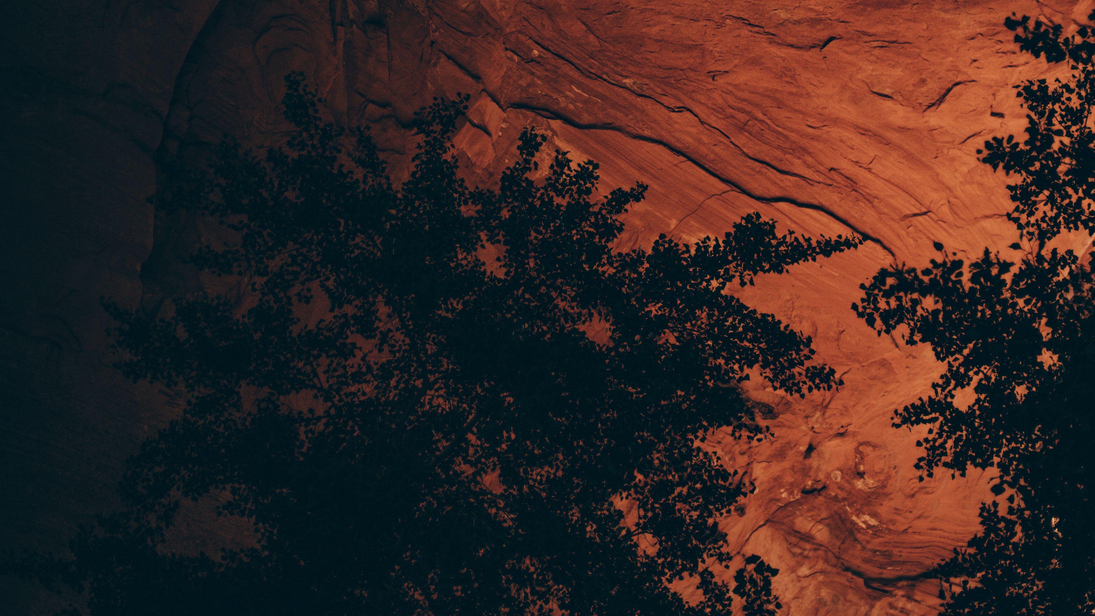 cave, rock, trees, stony, 4k, HD Wallpaper