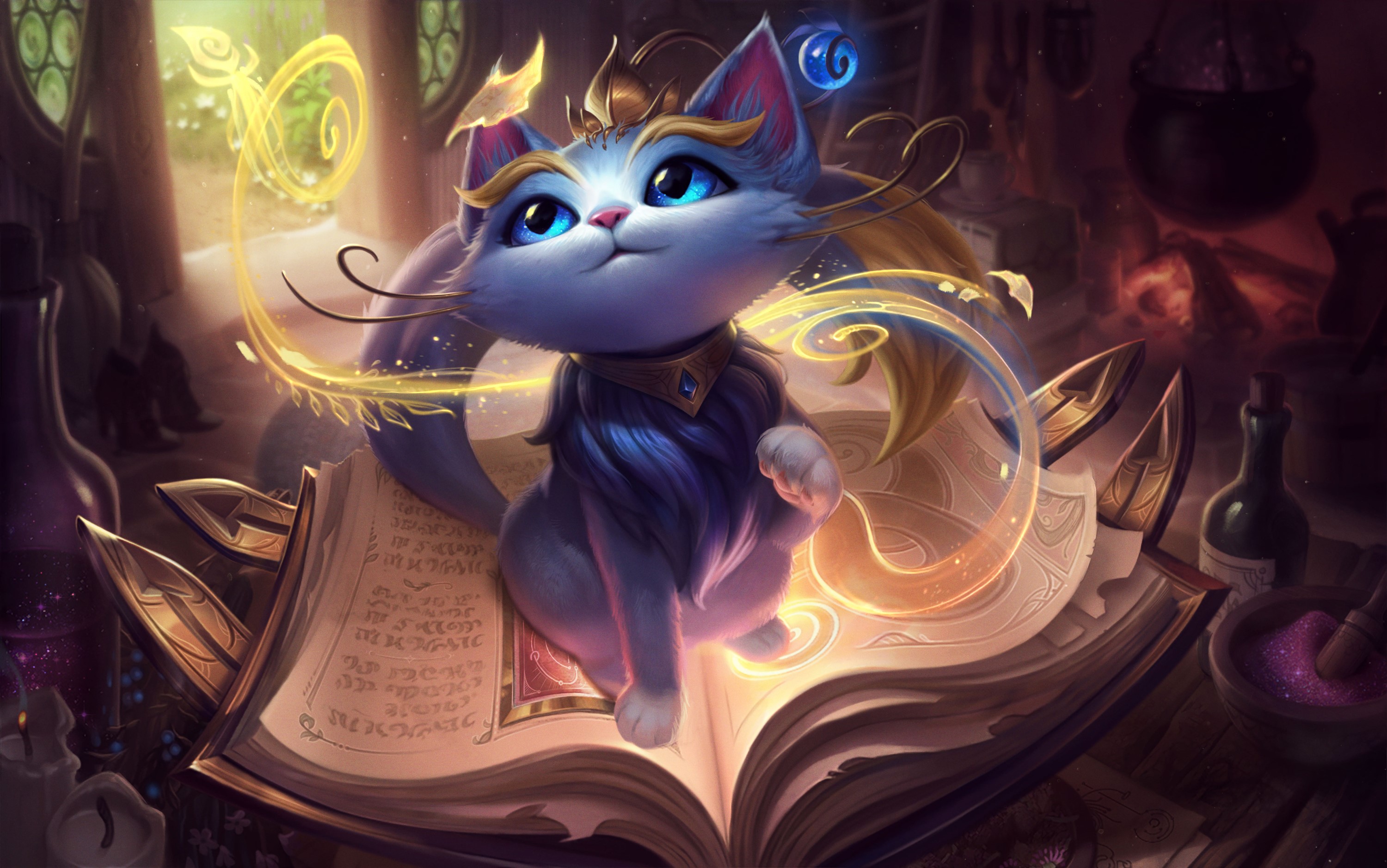 league of legends, games, hd, cat, HD Wallpaper