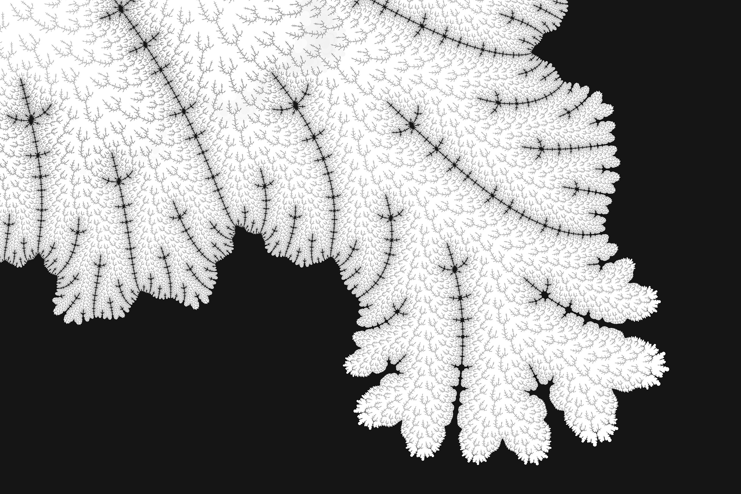 abstract, leaf, hd, black and white, behance, HD Wallpaper