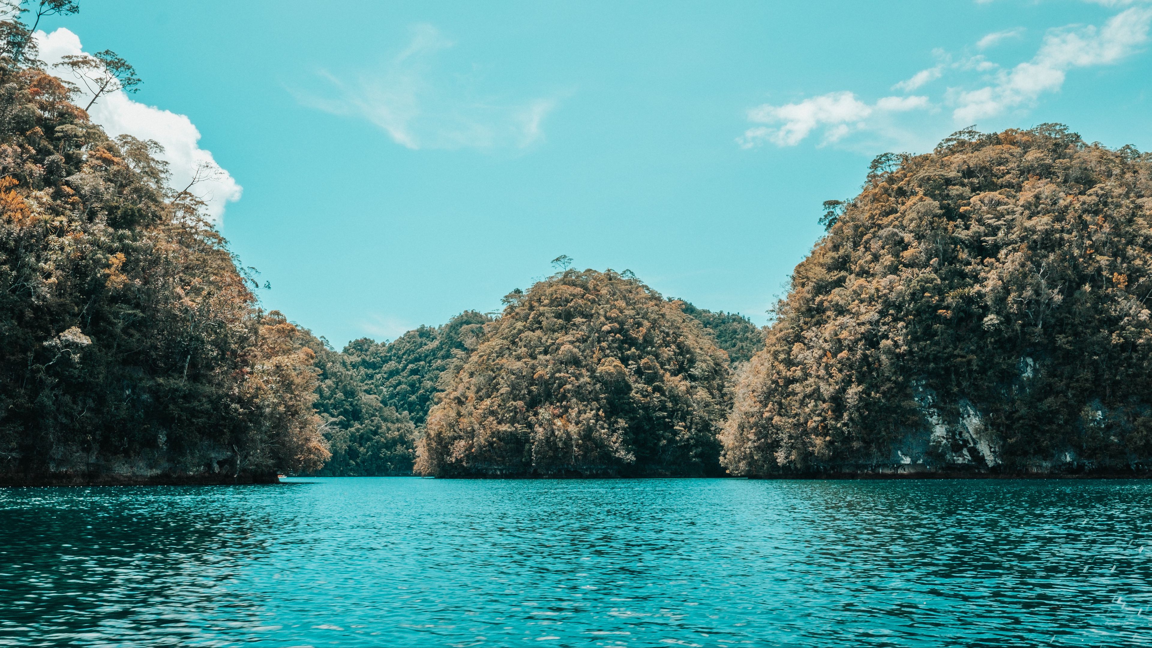 islands, trees, water, coast, nature, 4k, HD Wallpaper