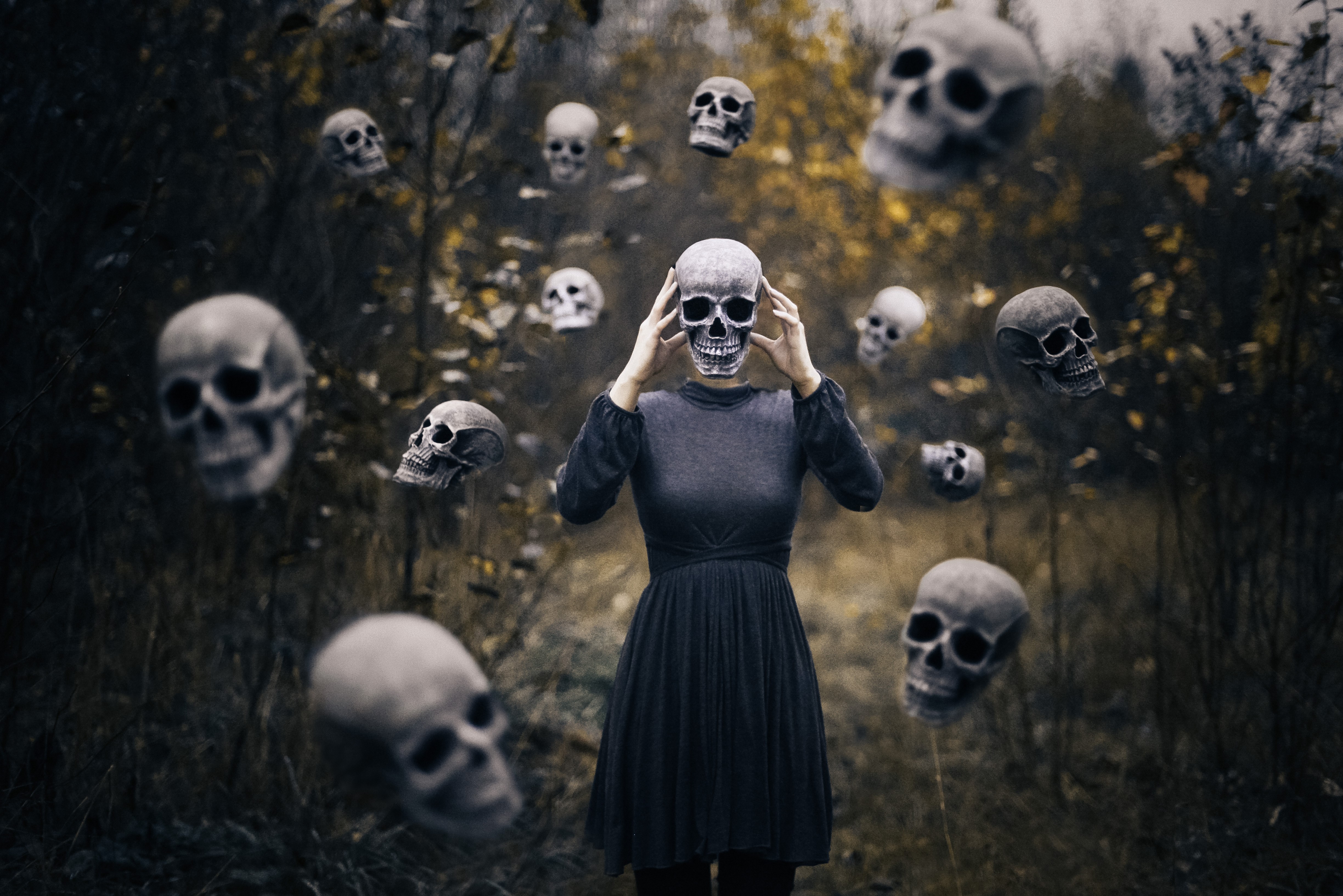 skull, manipulation, photography, hd, 4k, 5k, HD Wallpaper