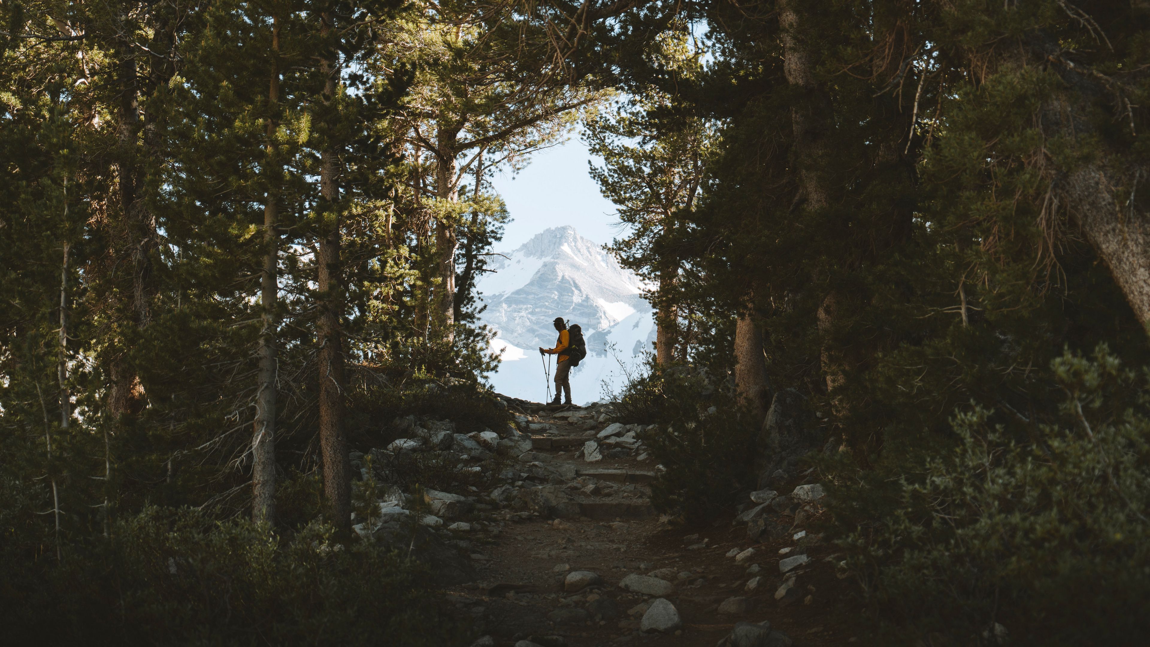 tourist, silhouette, forest, trees, mountain, nature, 4k, HD Wallpaper