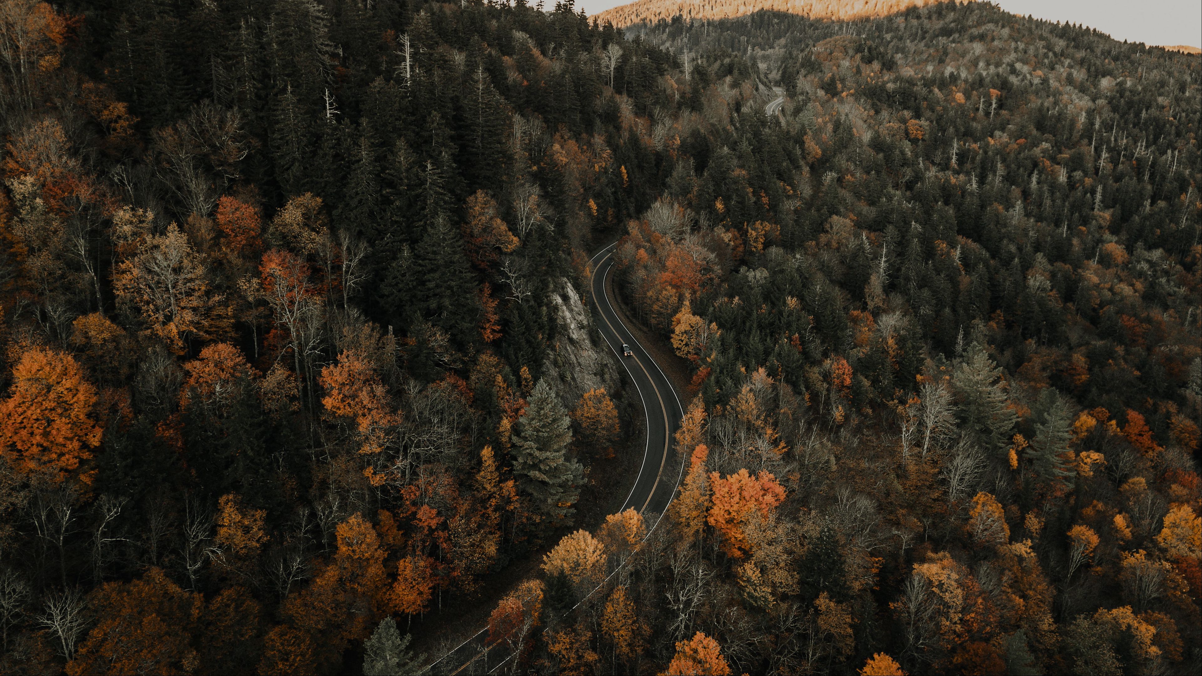 road, aerial view, forest, autumn, movement, 4k, HD Wallpaper