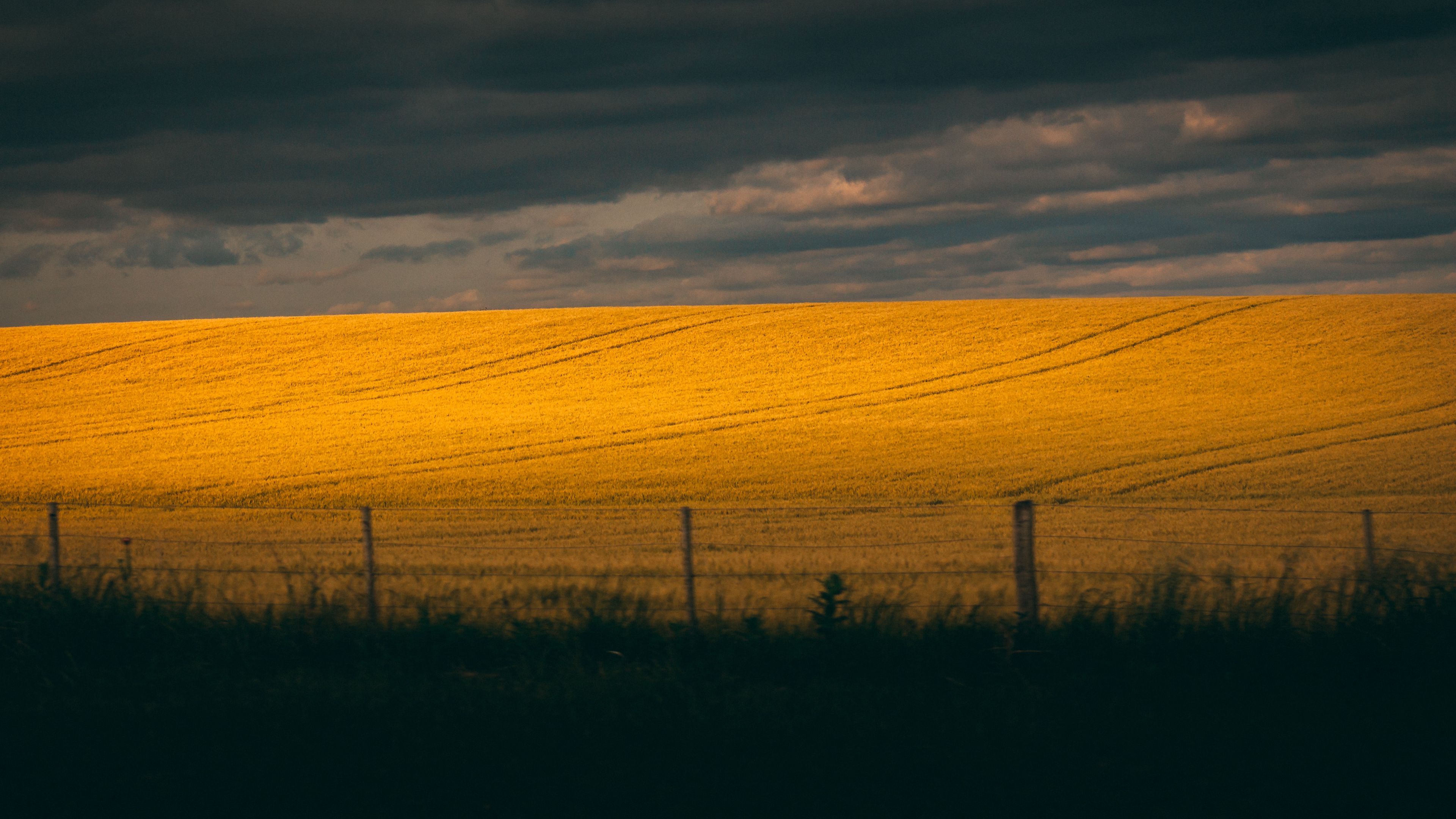 field, hill, clouds, dark, landscape, 4k, HD Wallpaper