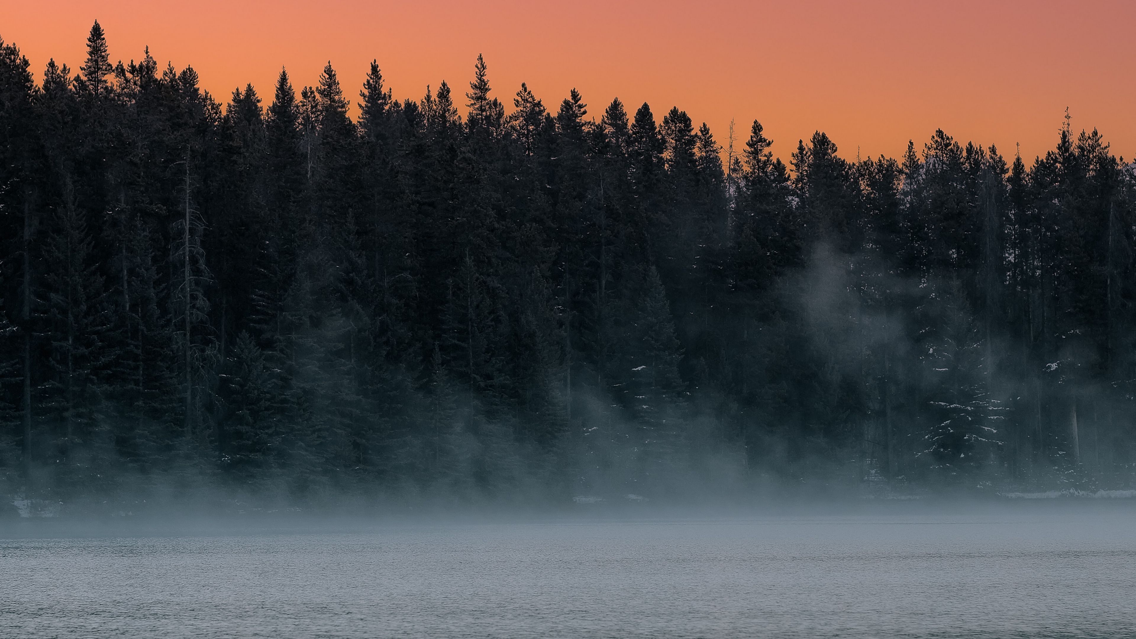 lake, fog, trees, dusk, landscape, 4k, HD Wallpaper