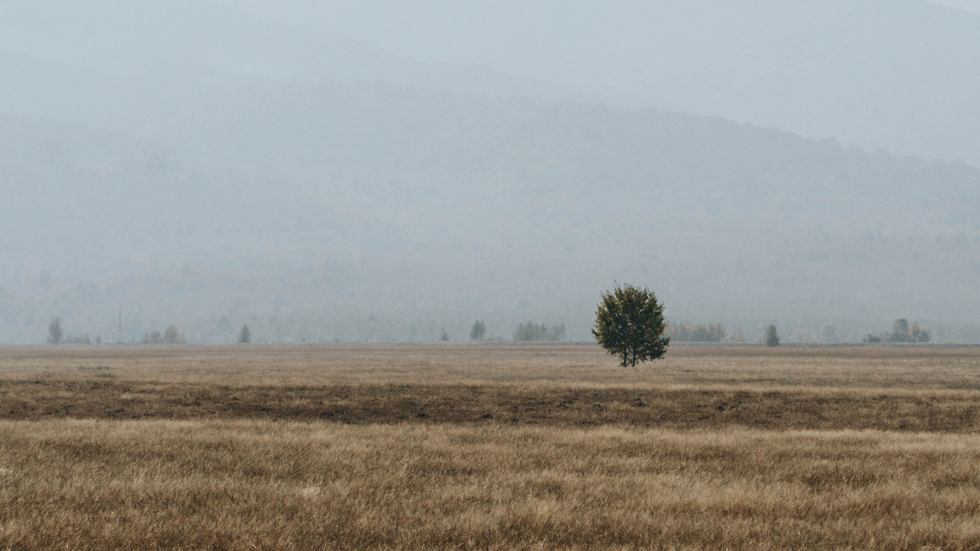 field, mountains, fog, landscape, nature, 4k, HD Wallpaper