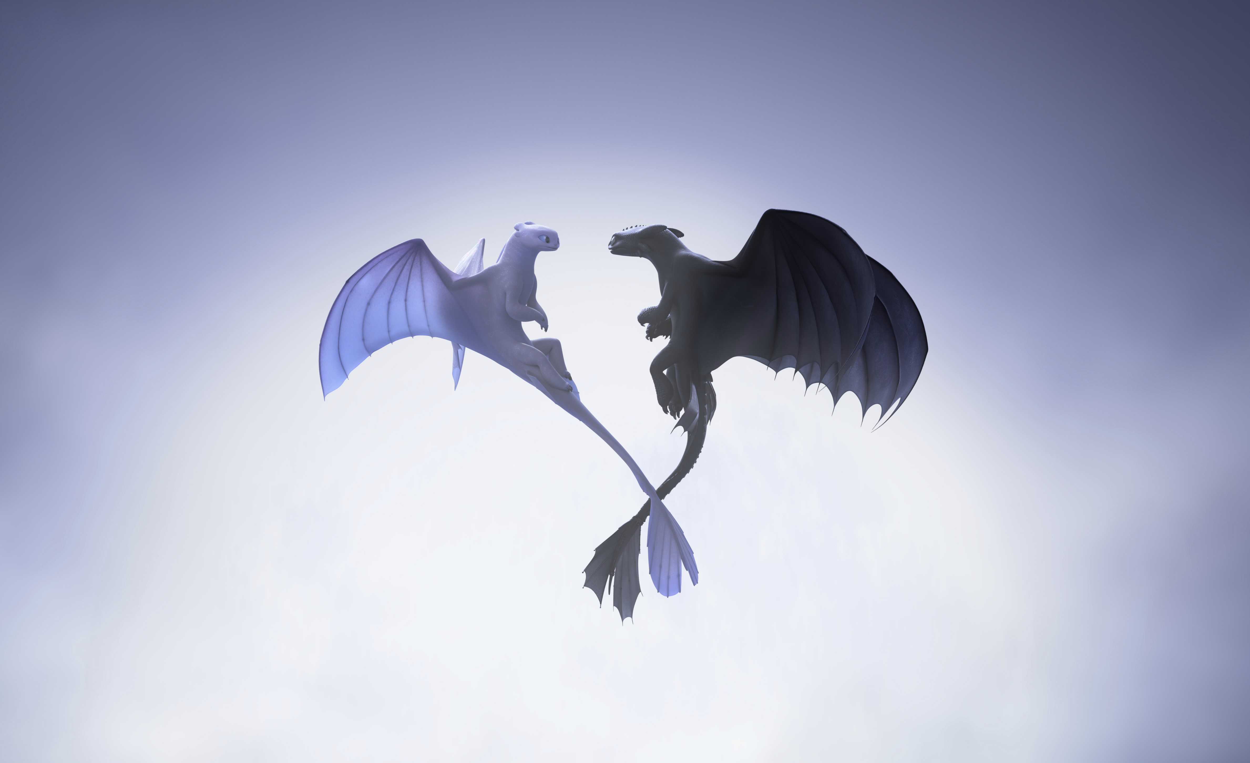 night fury, light fury, how to train your dragon the hidden world, 2019 movies, movies, hd, artist, artwork, digital art, dragon, HD Wallpaper