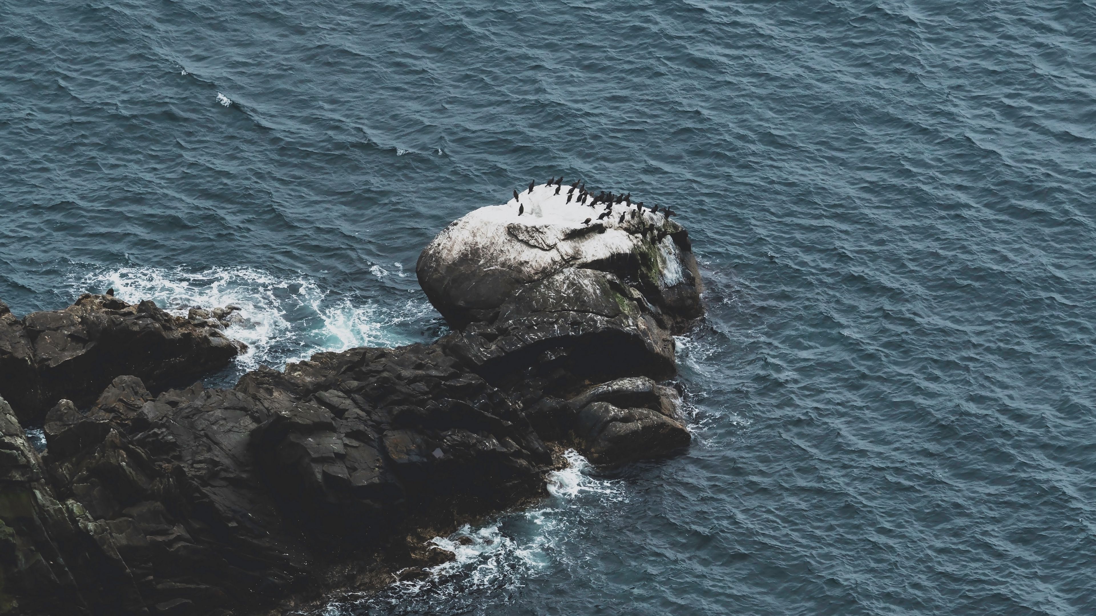 rocks, water, aerial view, sea, coast, 4k, HD Wallpaper