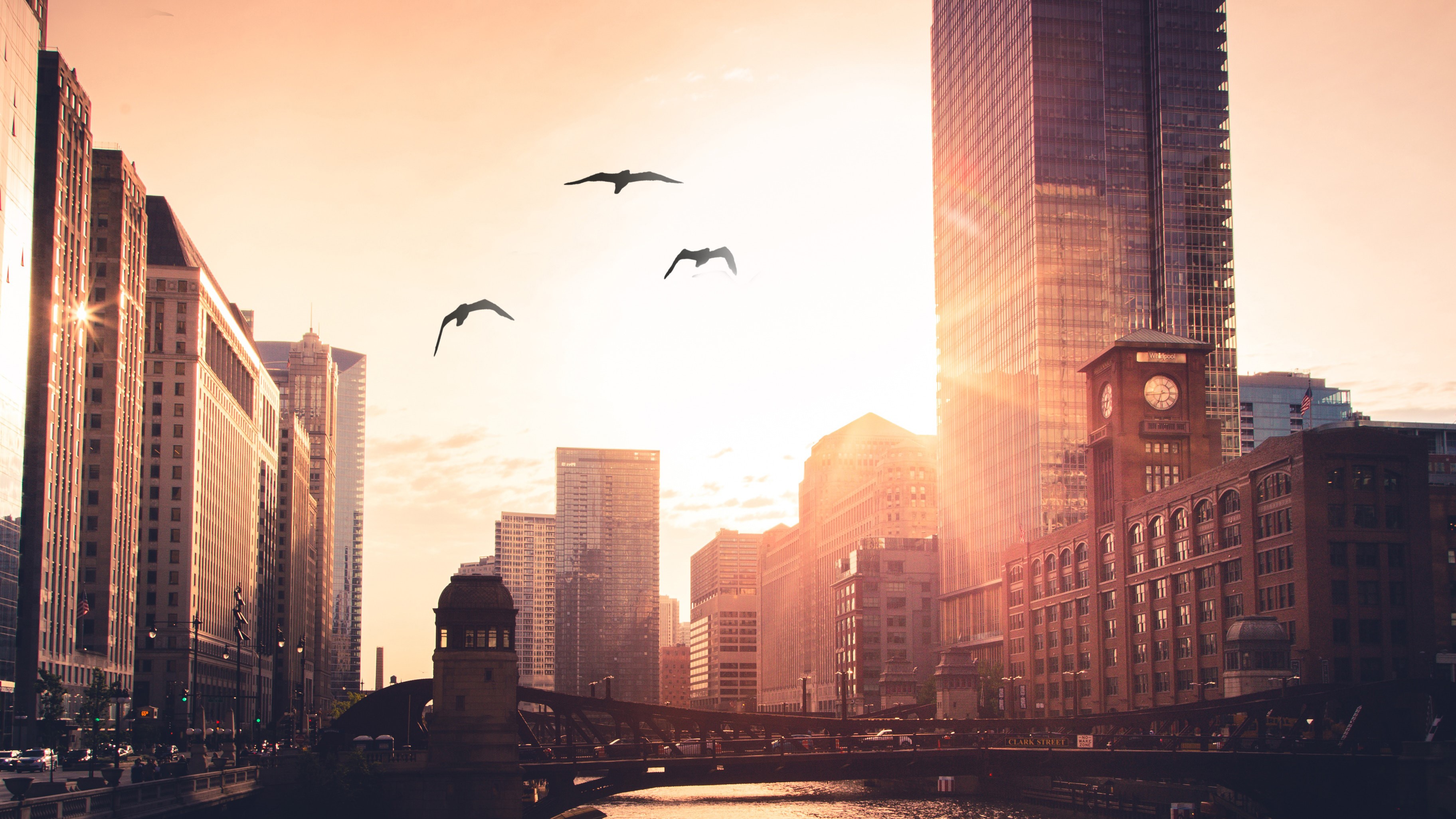 morning, city, birds, hd, photography, 4k, HD Wallpaper