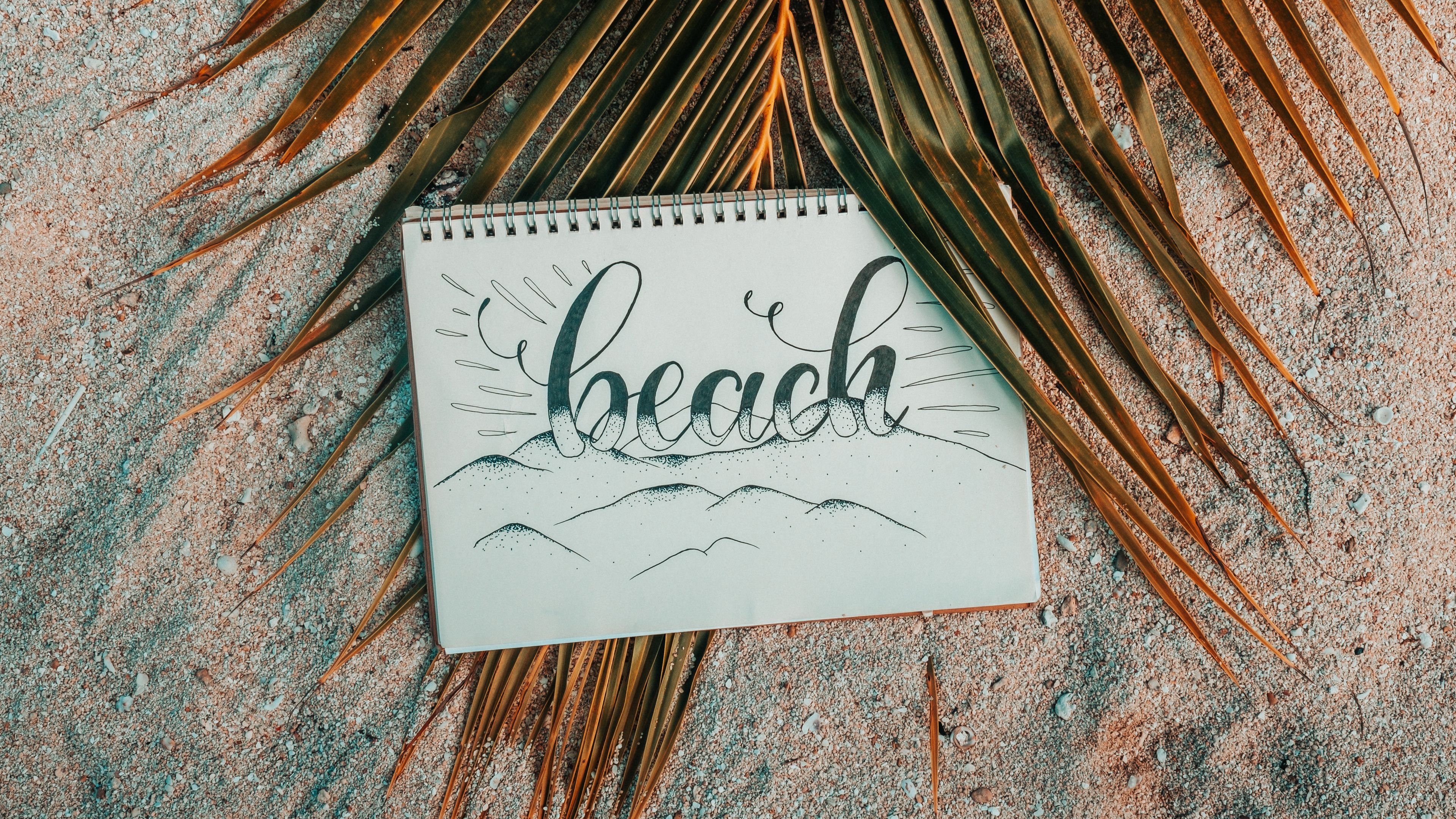beach, notebook, palm, branch, sand, text, 4k, HD Wallpaper