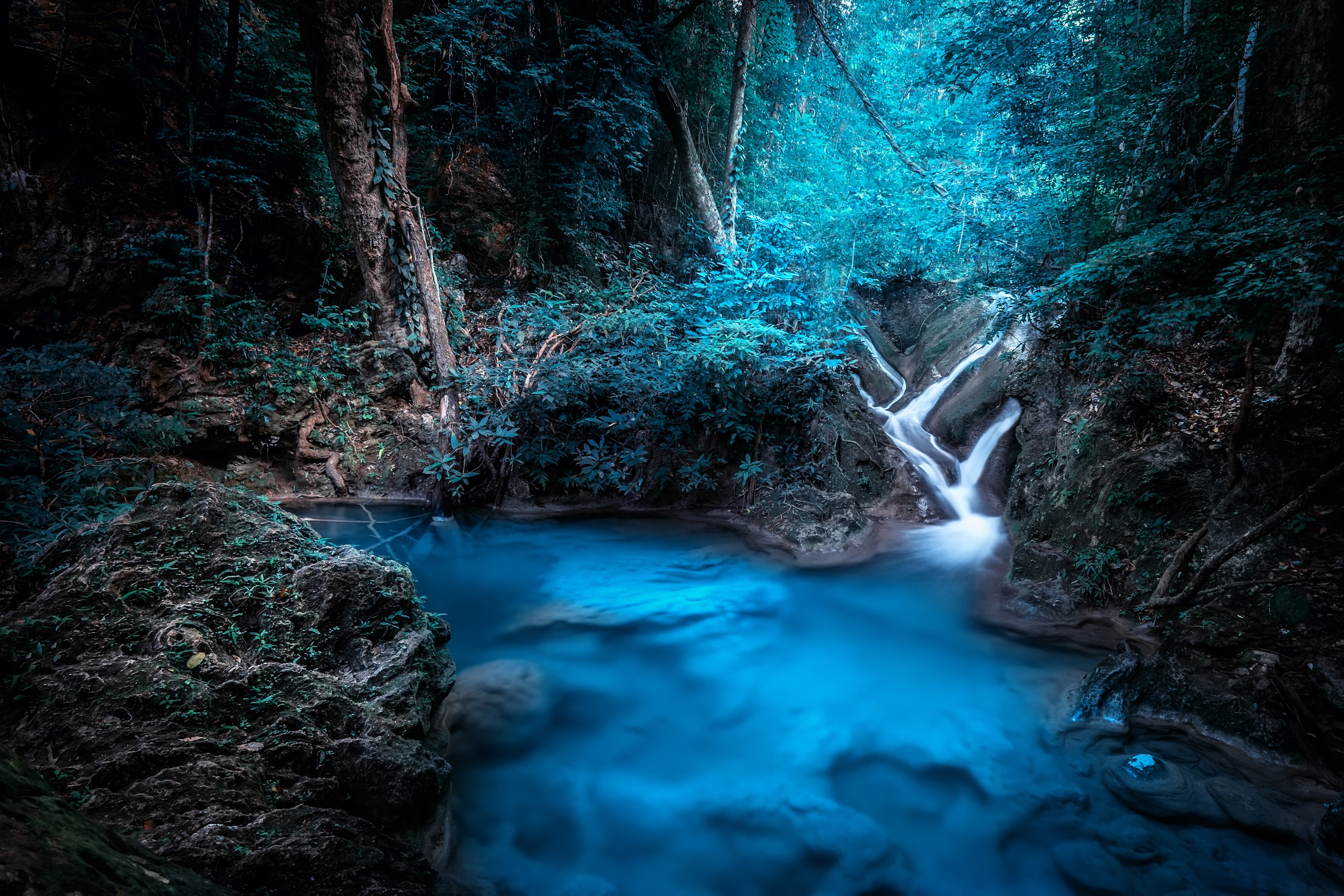 forest, waterfall, nature, hd, 4k, HD Wallpaper