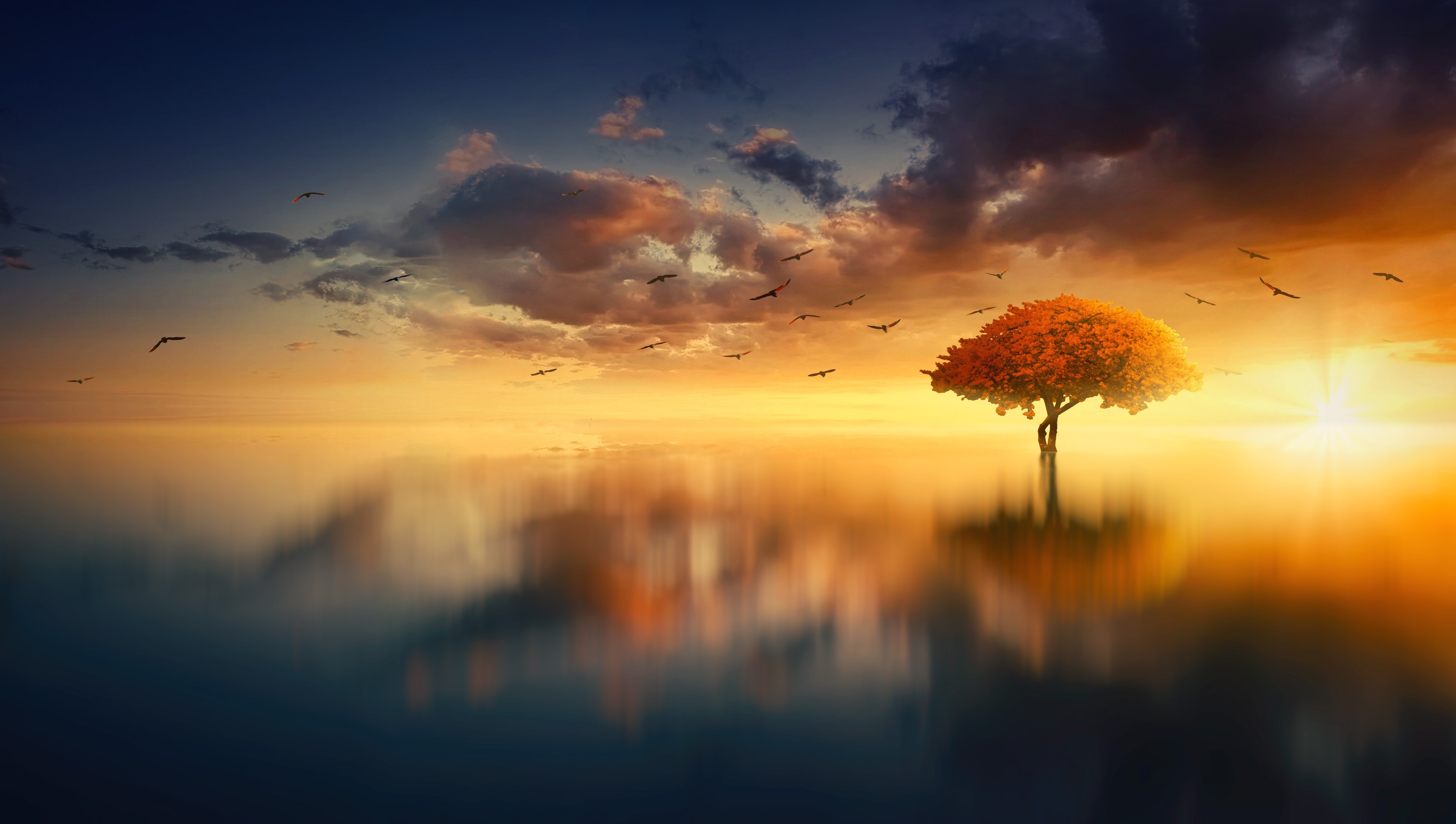 morning, tree, artist, artwork, digital art, hd, 4k, 5k, birds, HD Wallpaper