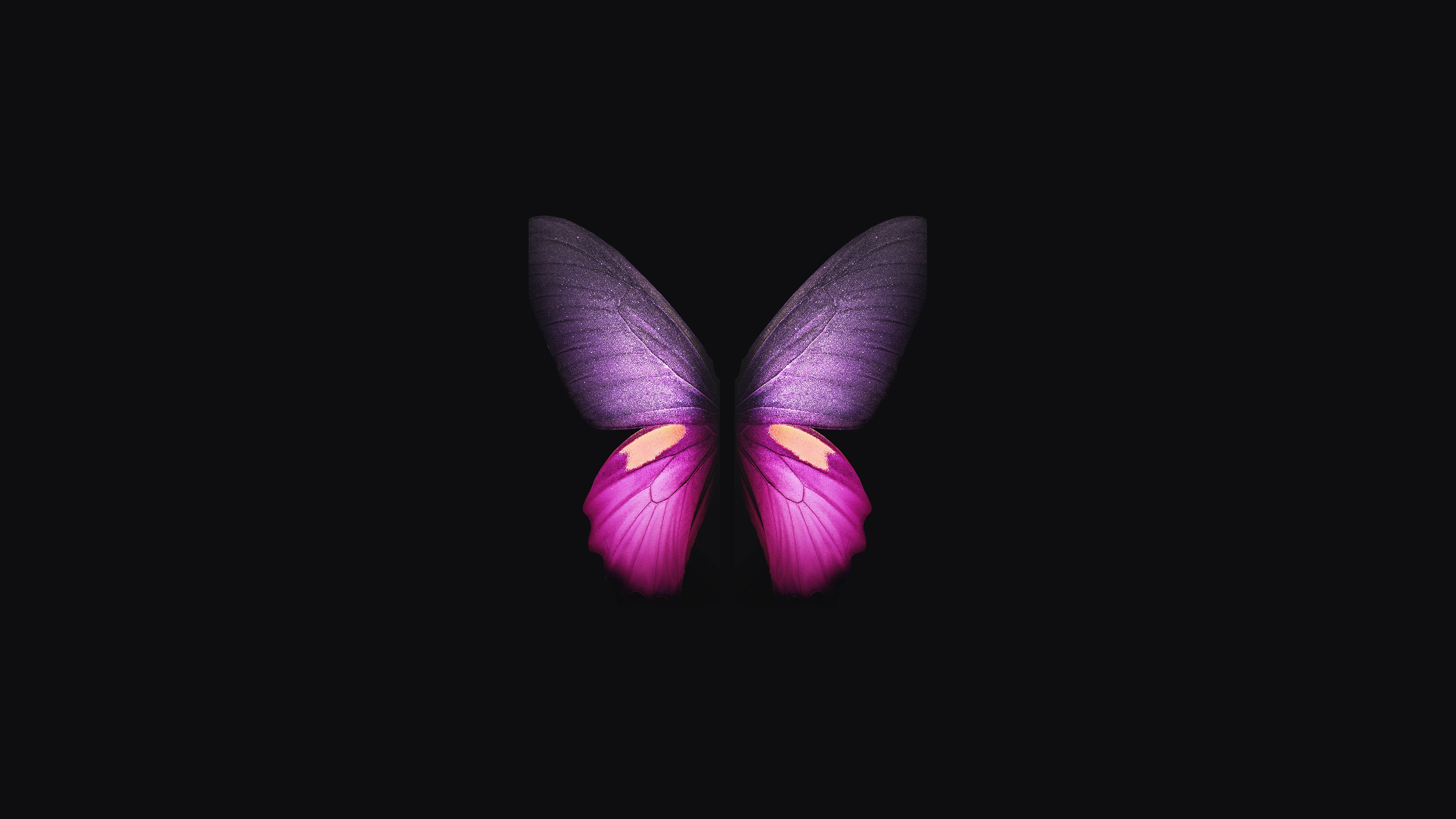samsung galaxy fold, butterfly, samsung, stock, hd, original, 4k, artist, digital art, dark, black, oled, HD Wallpaper