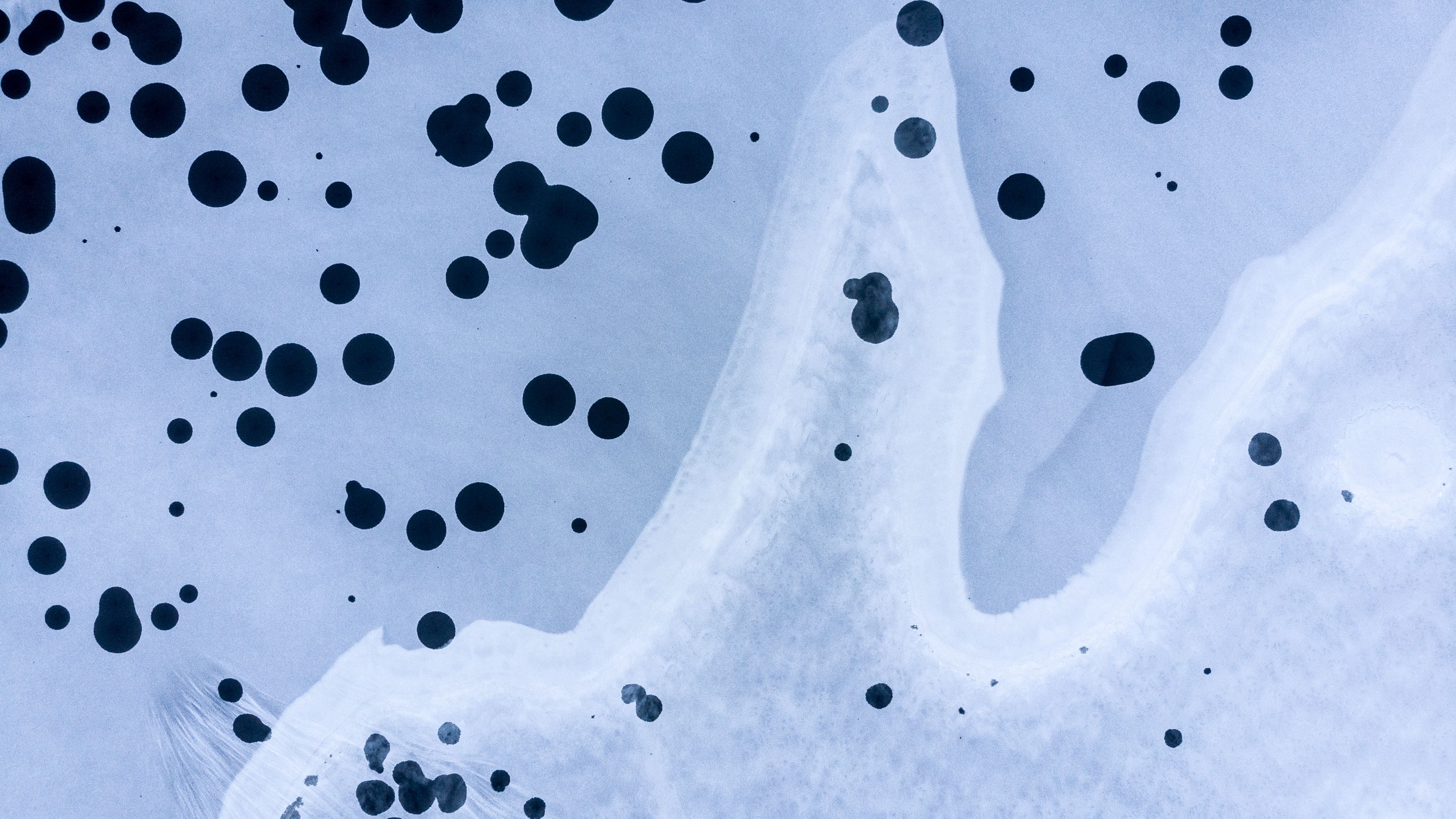 texture, dots, spots, macro, 4k, HD Wallpaper