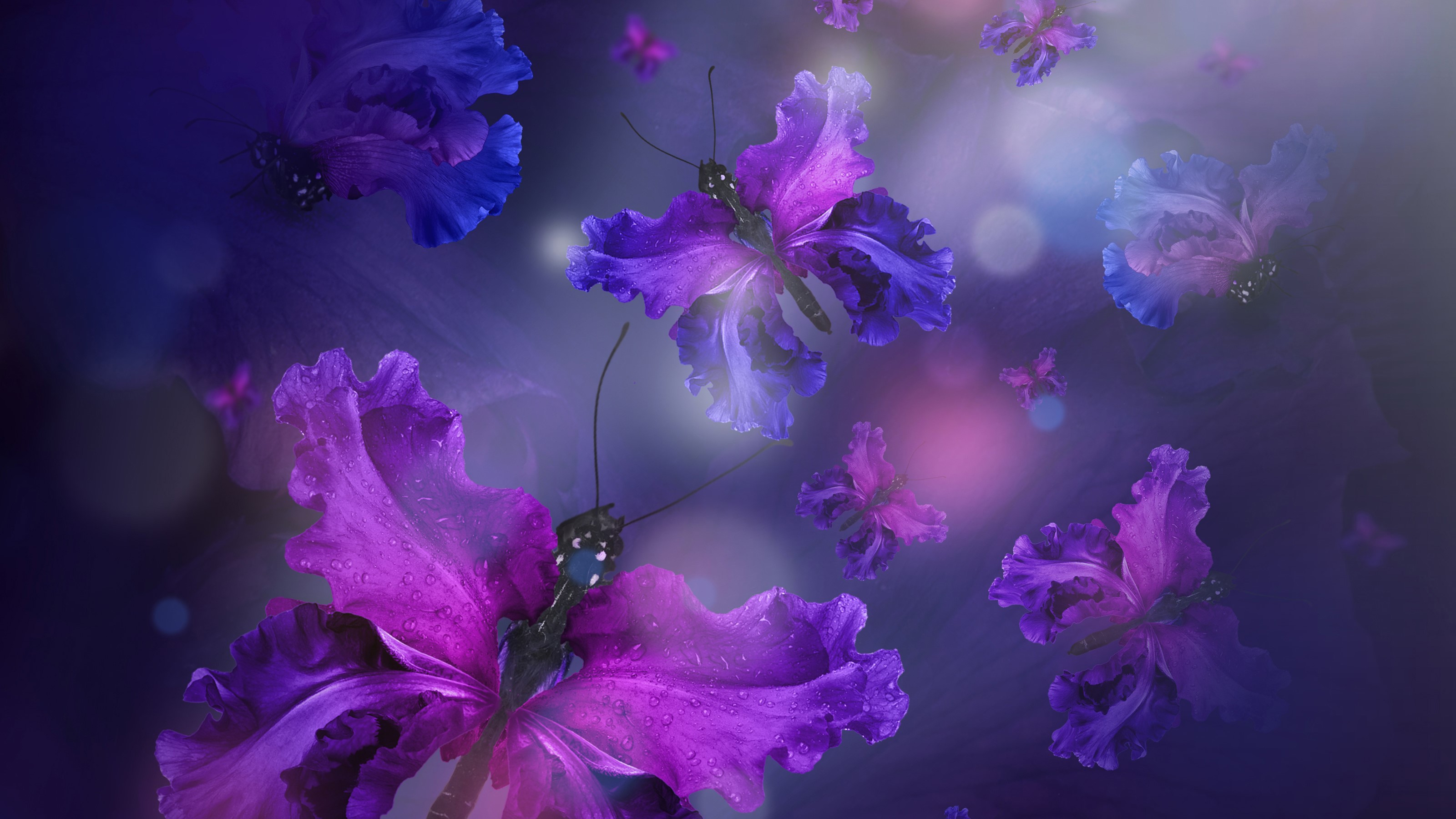 butterfly, artist, artwork, digital art, hd, 4k, HD Wallpaper