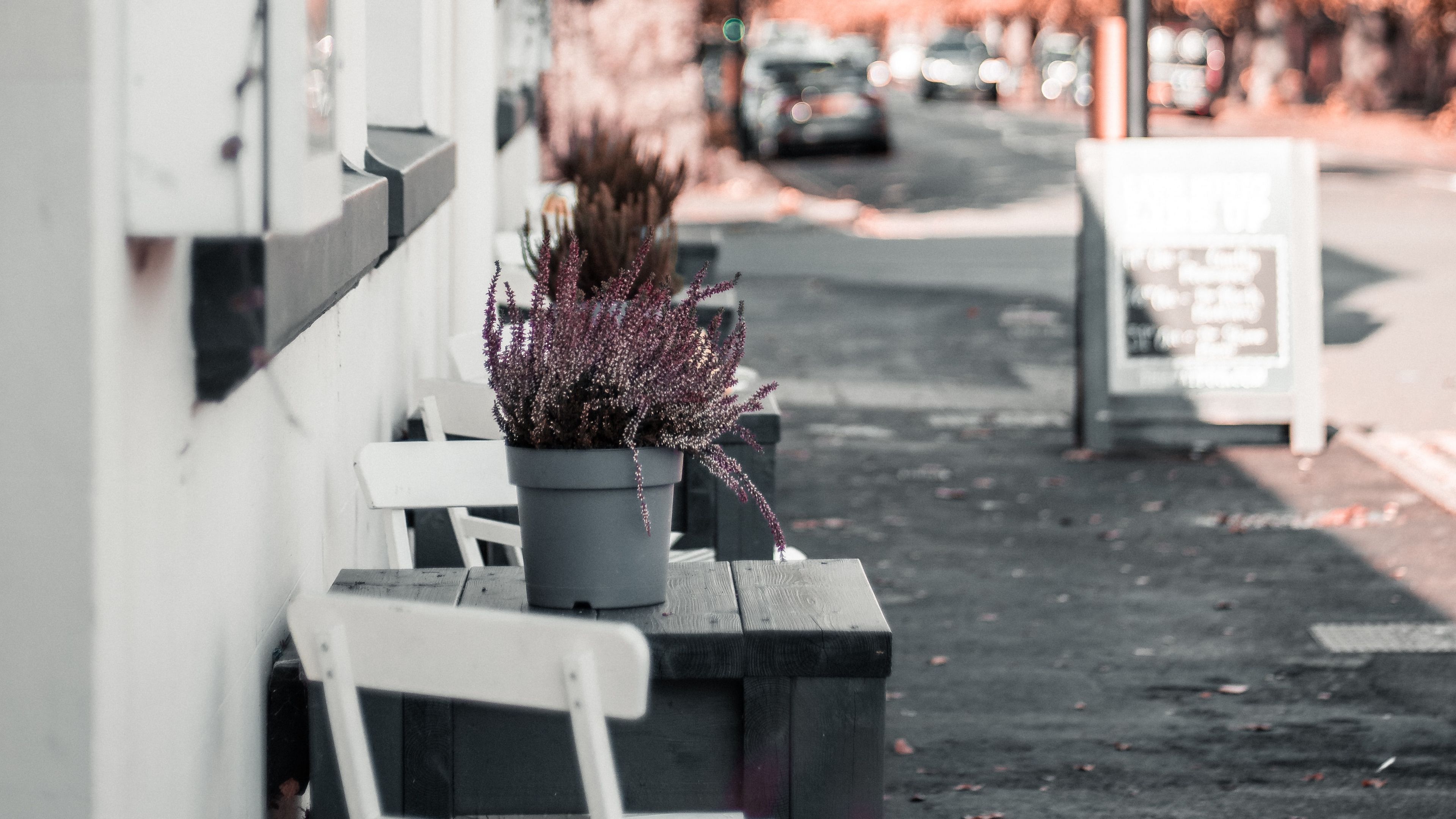 street, building, flowers, decoration, furniture, 4k, HD Wallpaper