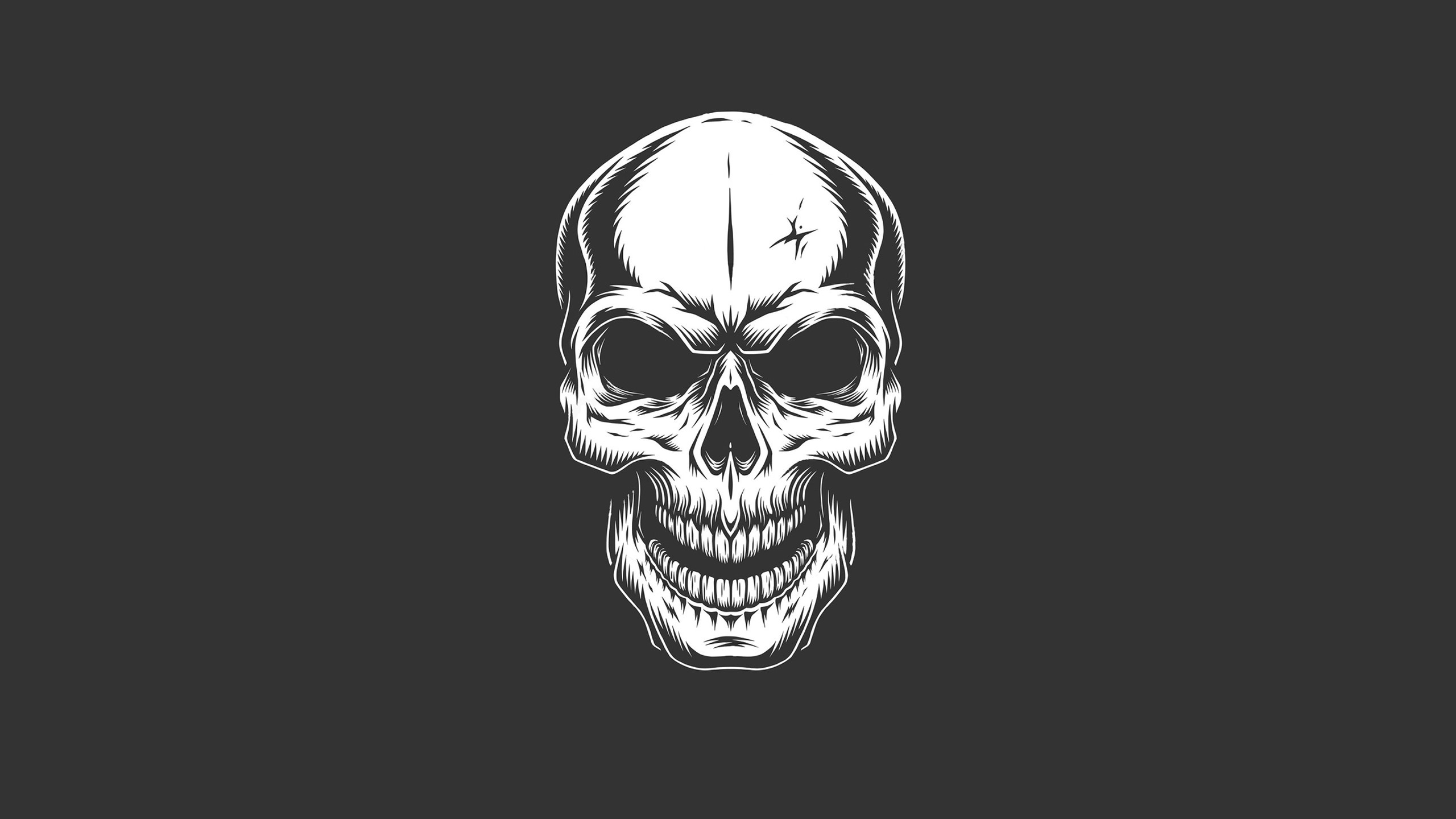 skull, skelton, artist, artwork, digital art, hd, HD Wallpaper