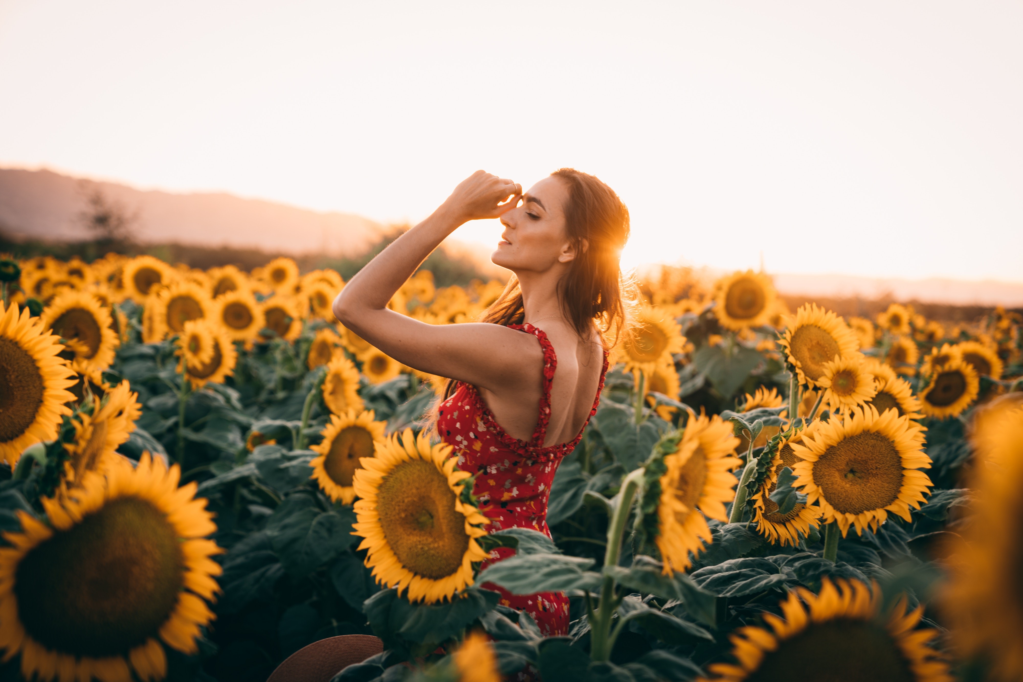 women, girls, field, hd, 4k, sunflowers, HD Wallpaper