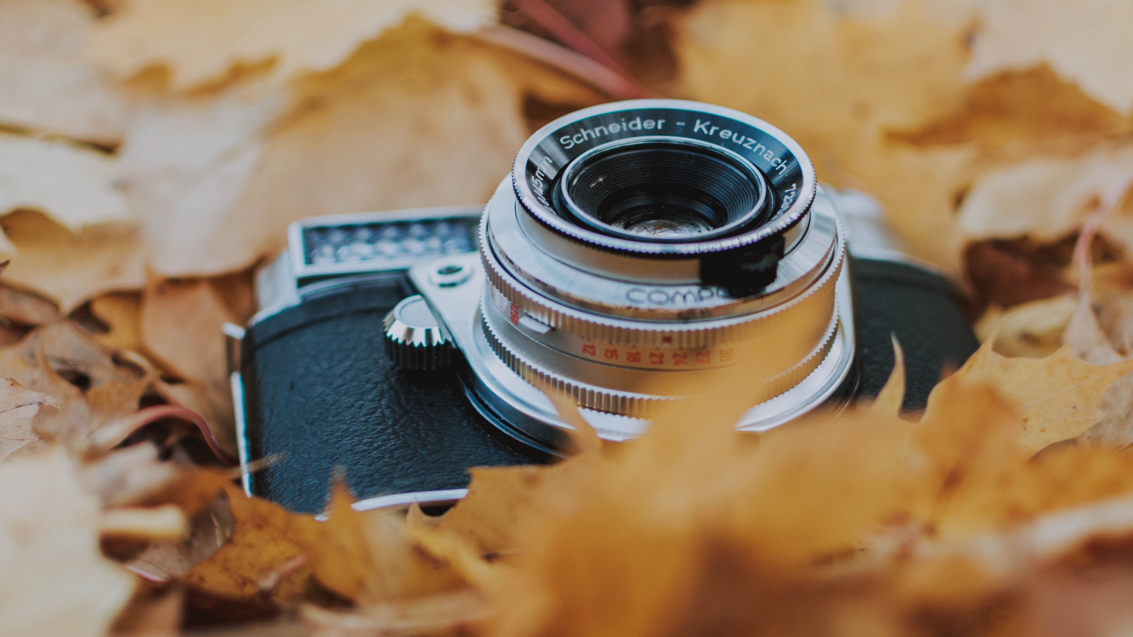 camera, leaves, foliage, dry, autumn, 4k, HD Wallpaper