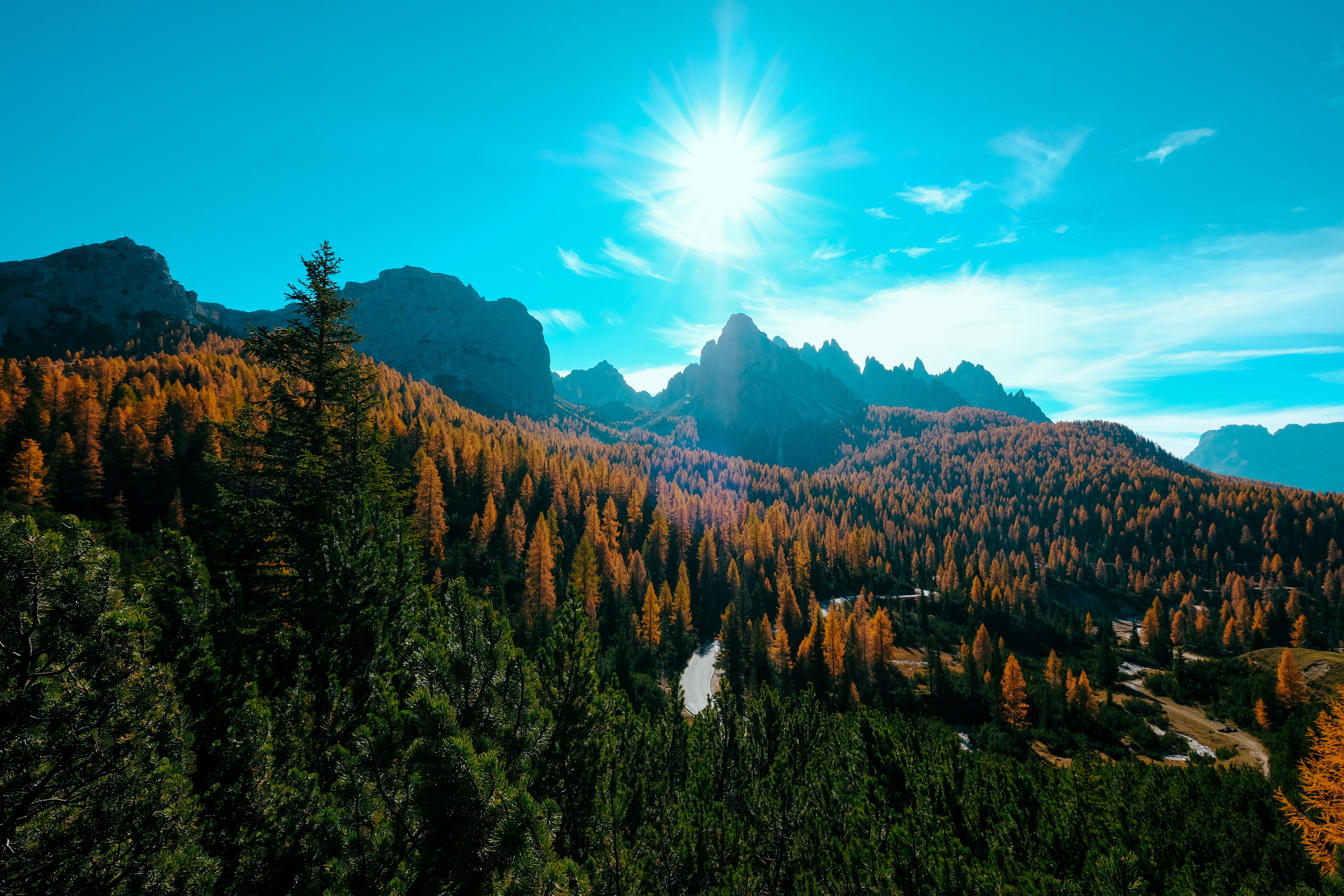 landscape, trees, forest, nature, hd, 4k, 5k, HD Wallpaper